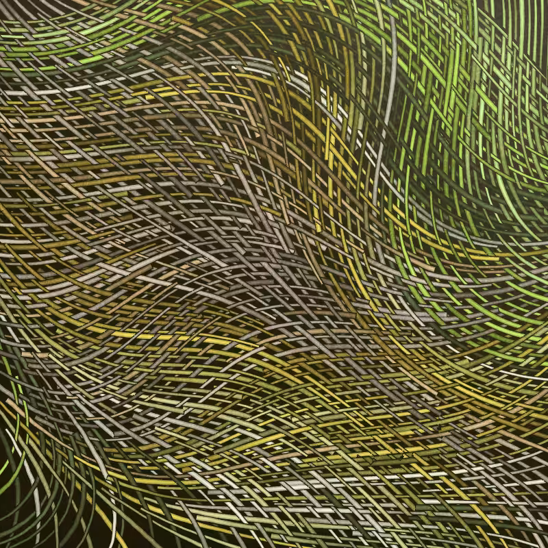 Loomnatic #77