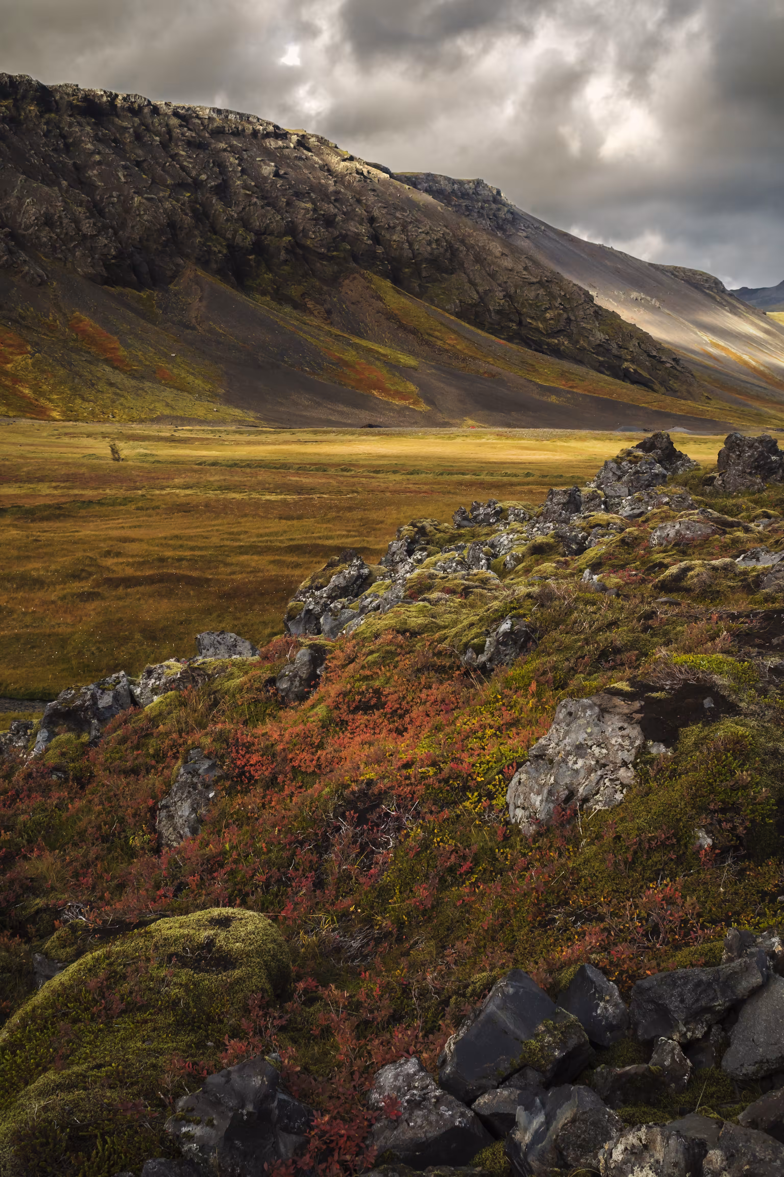 Landscape series: N°1 Matter