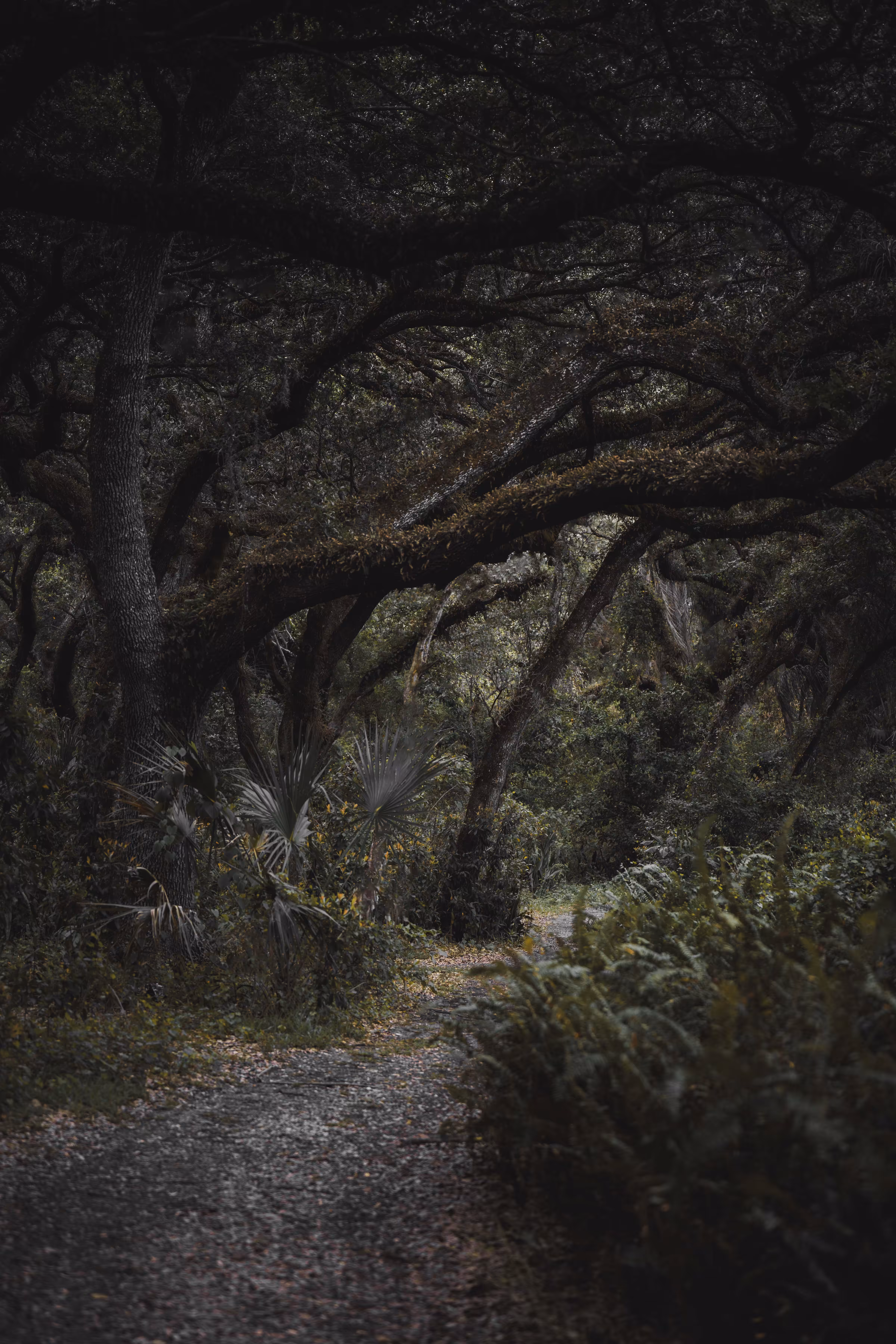 Verdant