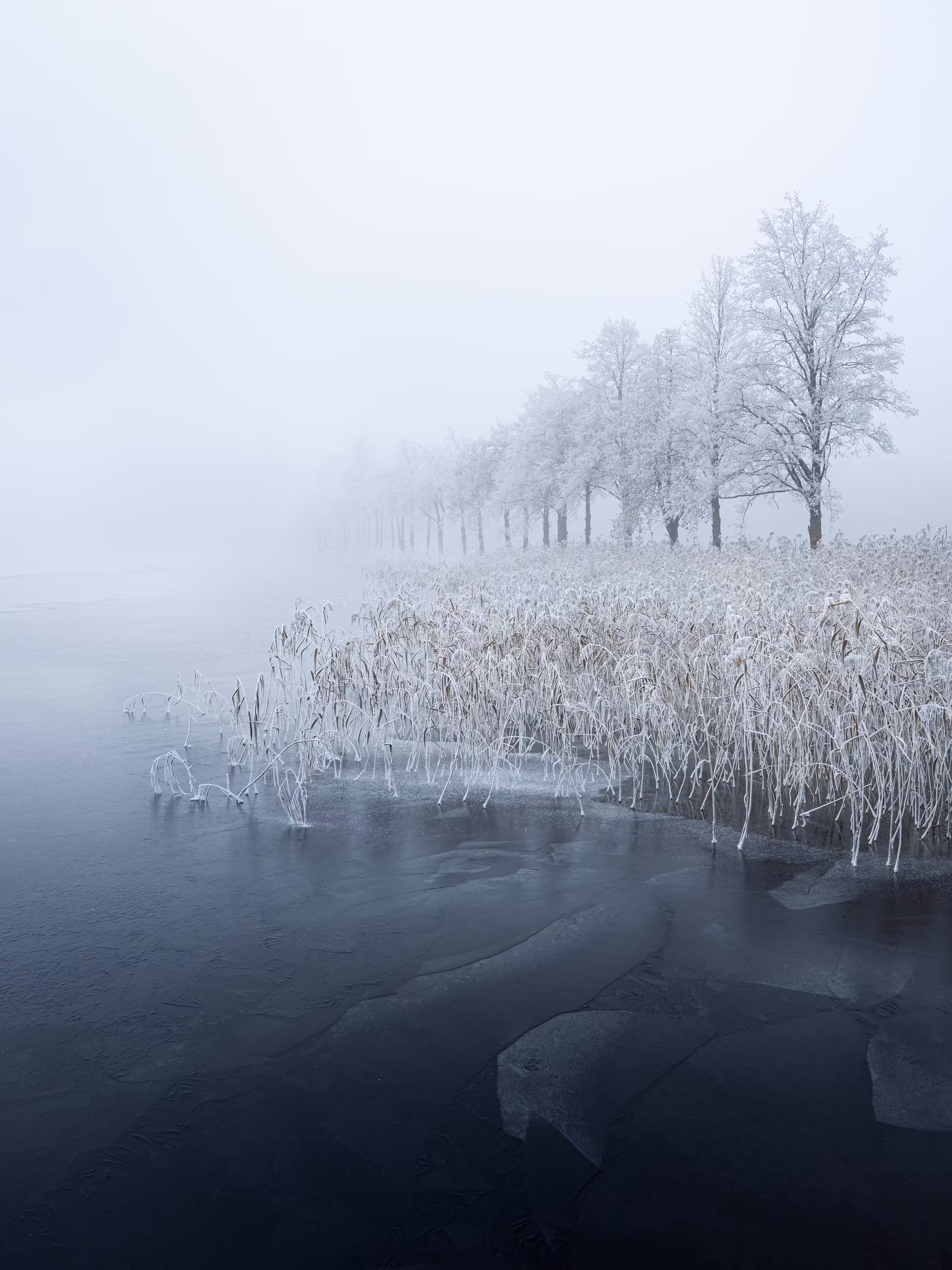 HARMONIA: Edge of Silence