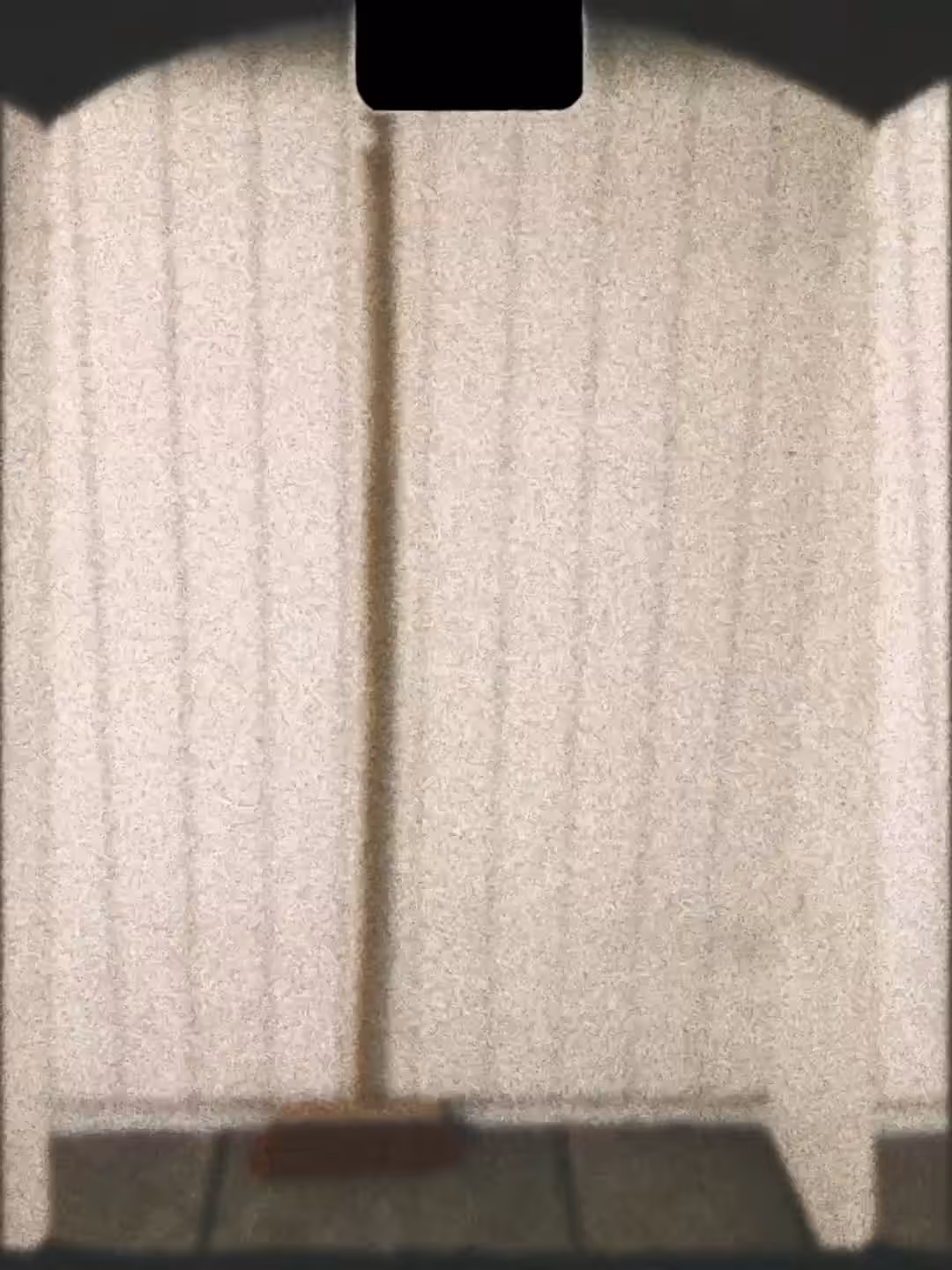 The Brush
