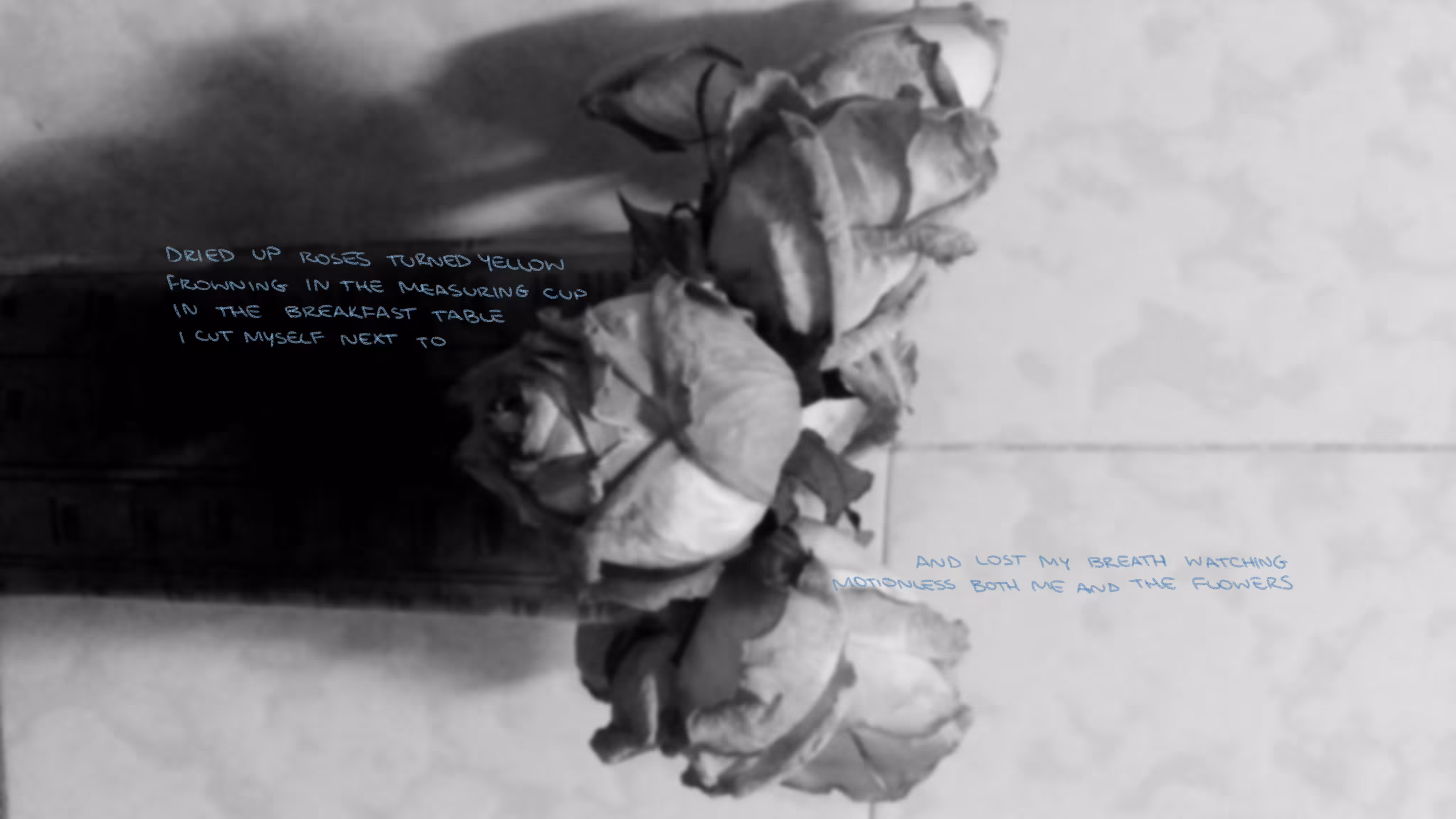 ode to: 2016/2017: 2 of 9: dried up roses turned yellow