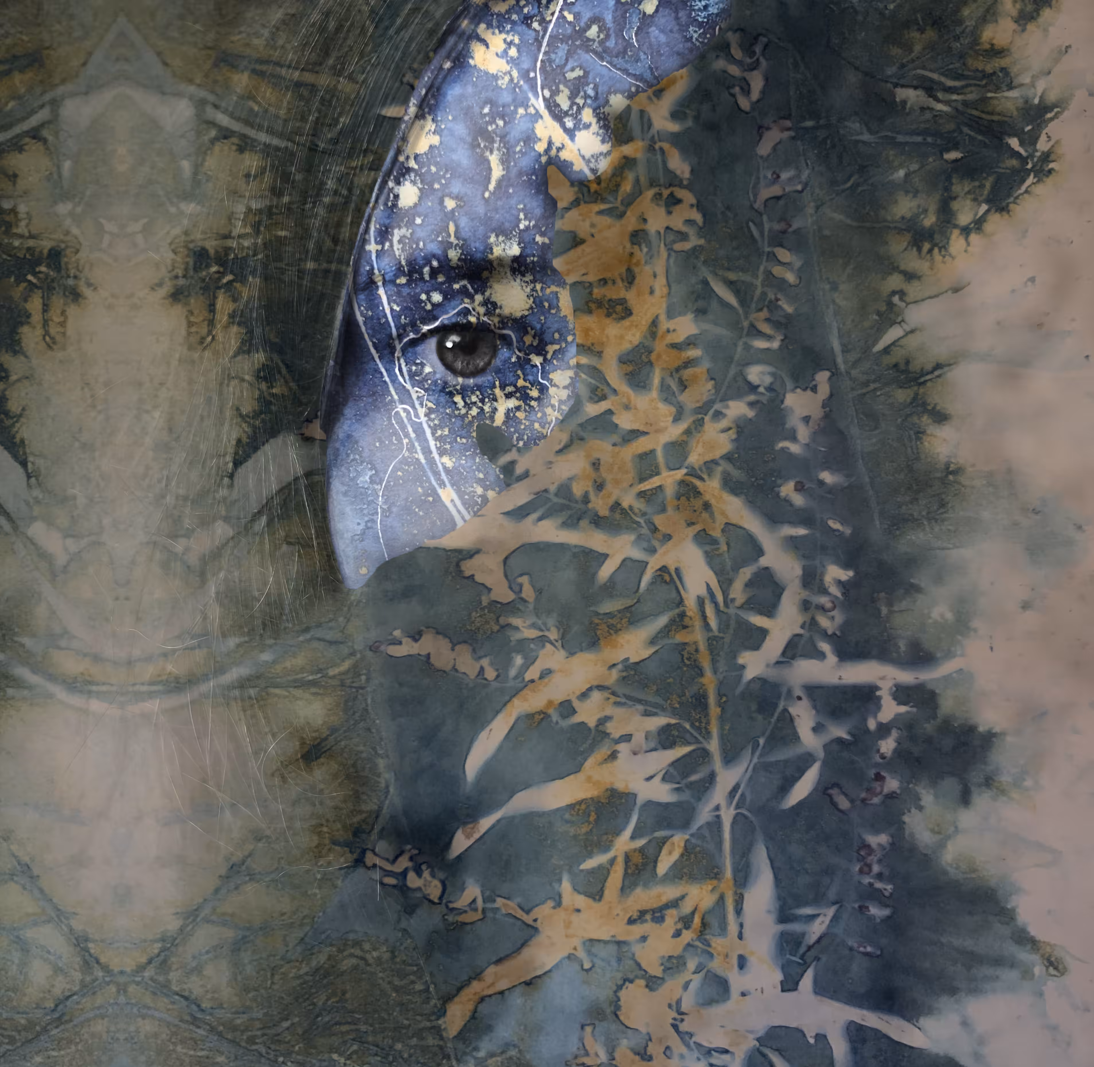 Peering Through The Universe Within