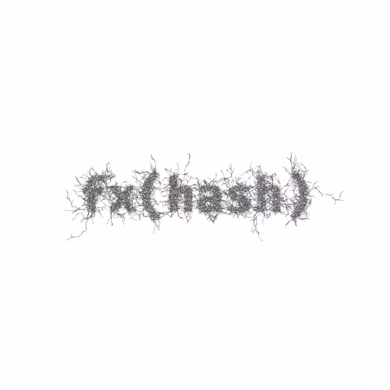 FXHASH Logo with Features #899