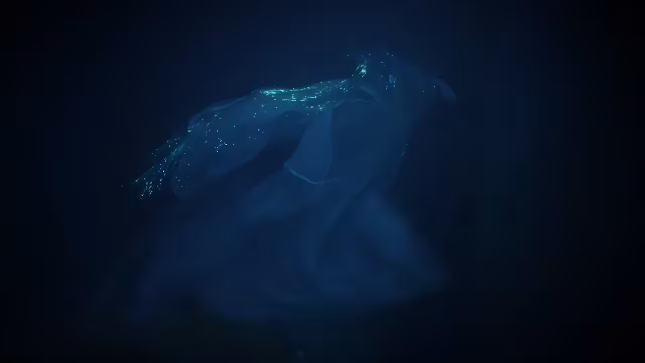 SEA ALCHEMY