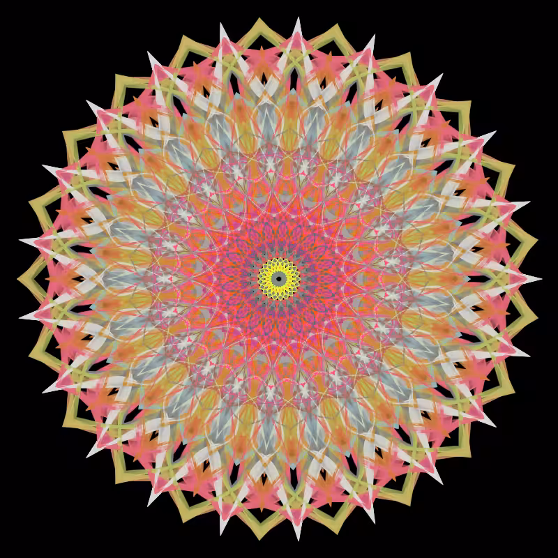Morphing Mandala - #fxhashturnsone charity #5