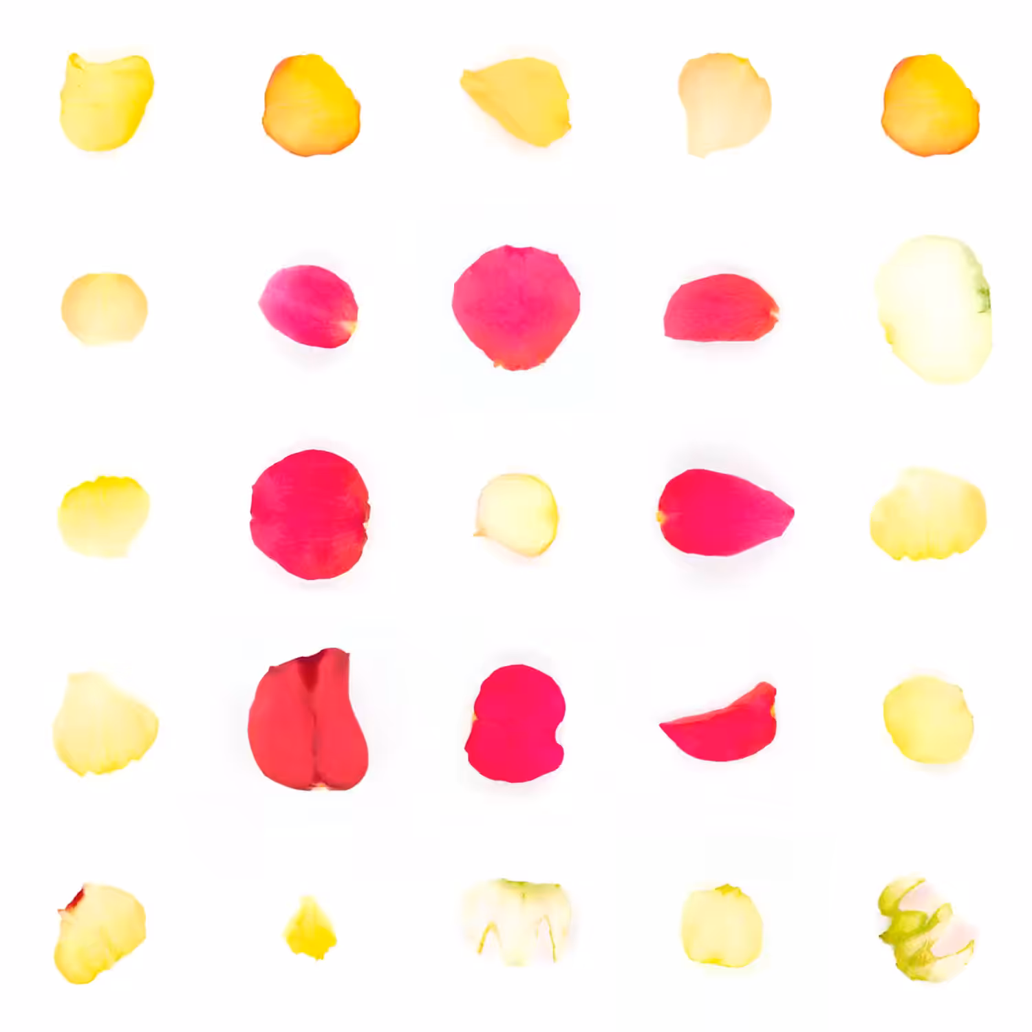 Infinite Petals 5x5#20188