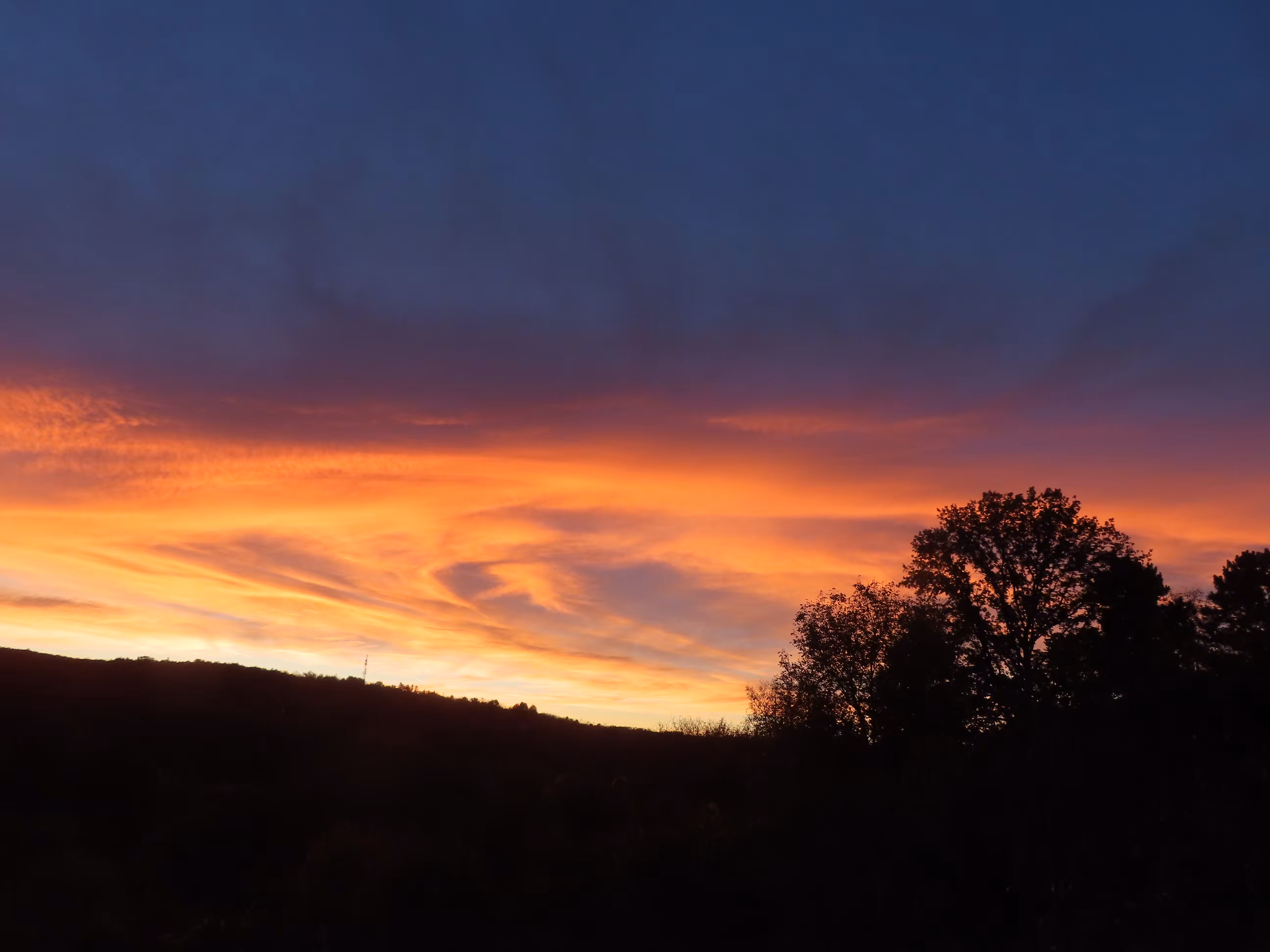 Sunrise from the Puppy Palace