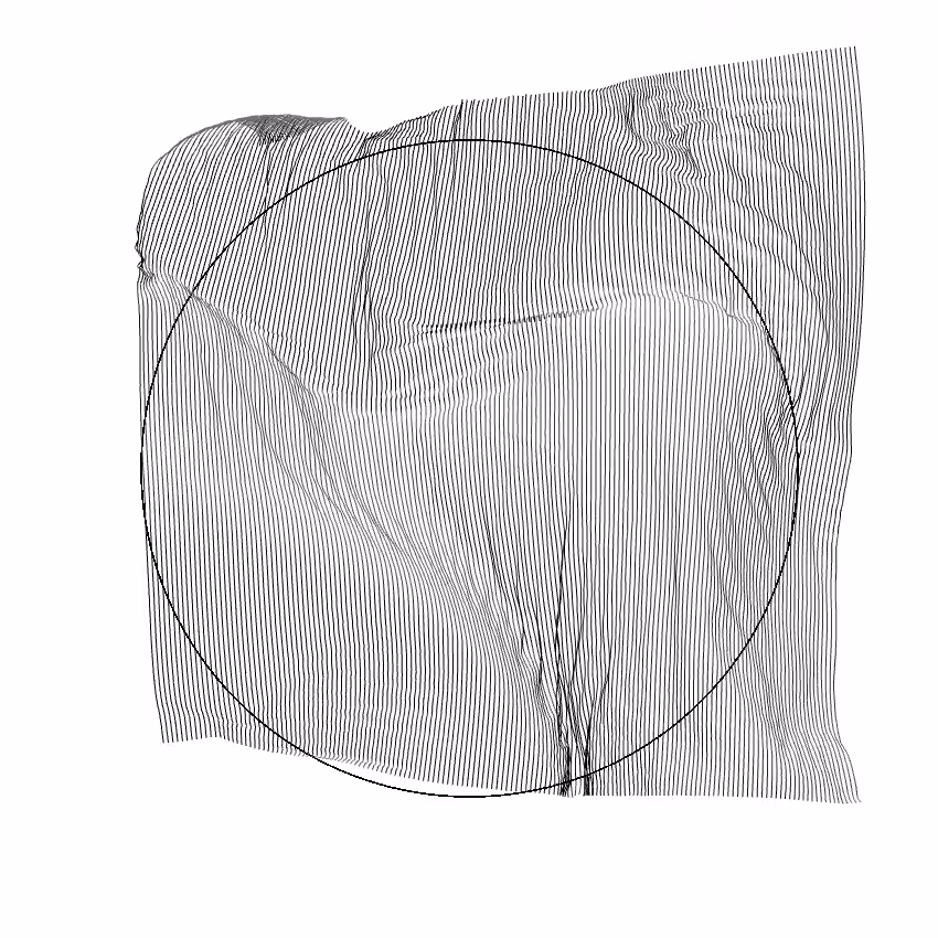 Fibril #102