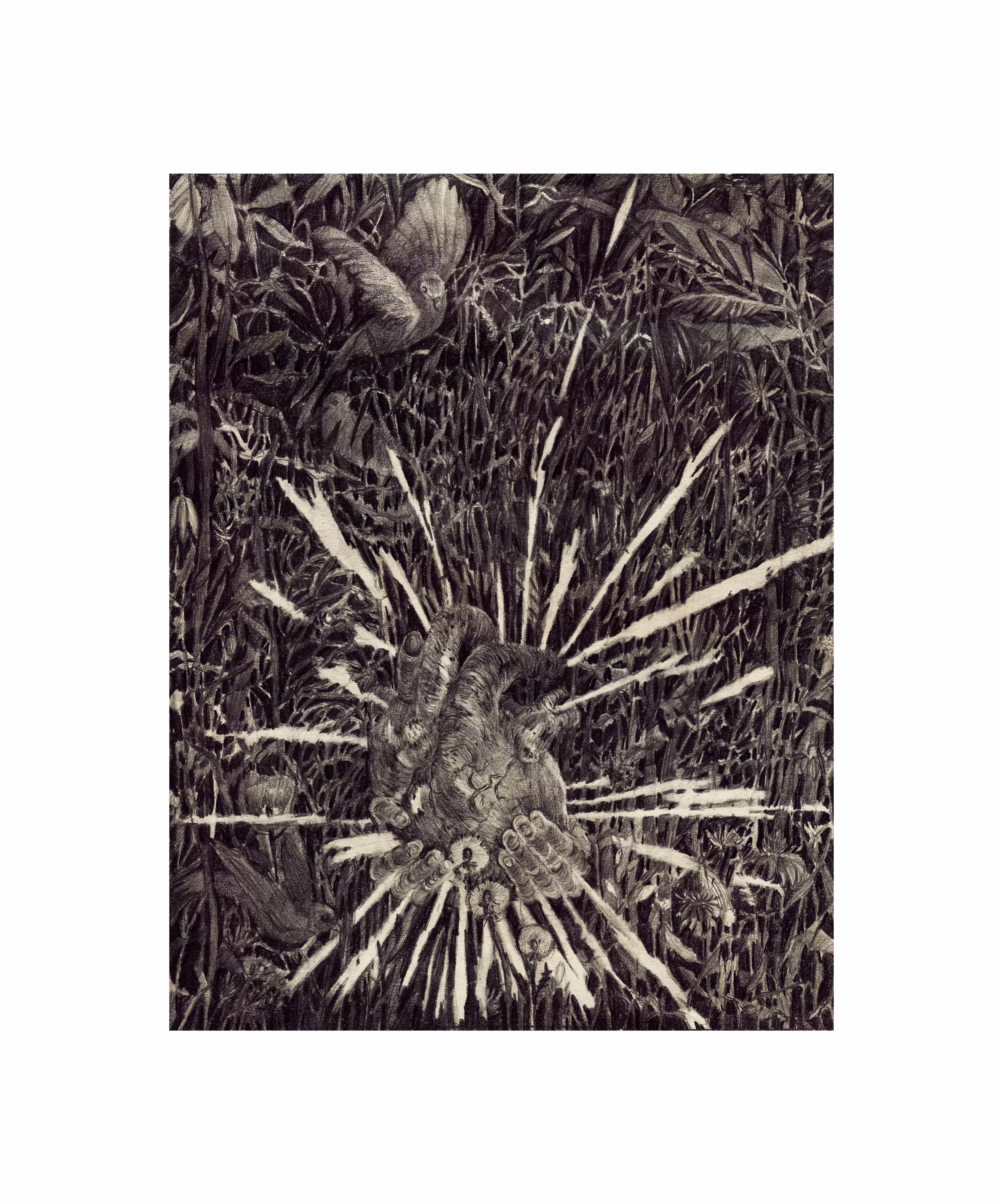 Sow seeds