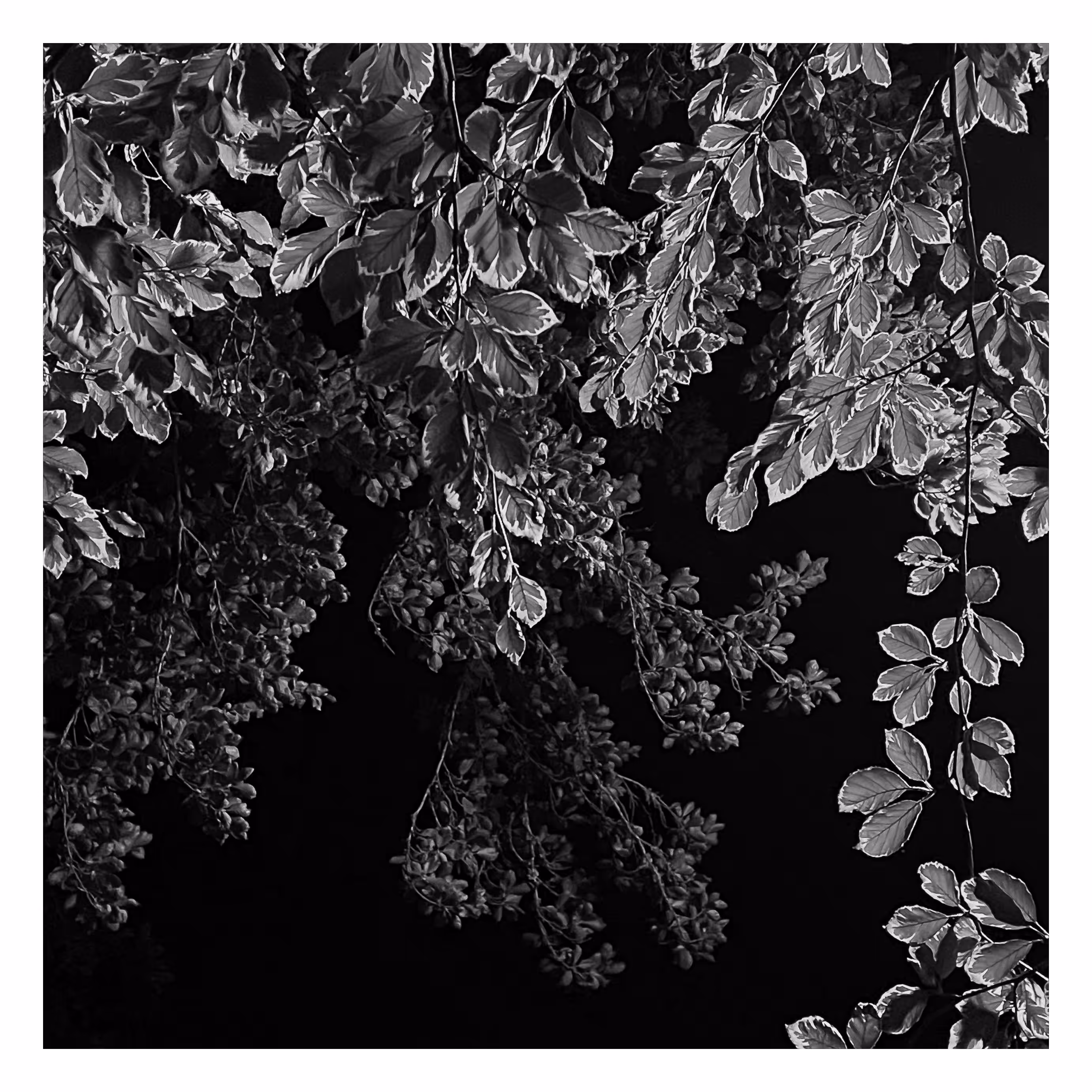 Stroll: July 25, 2023 • 10:54pm