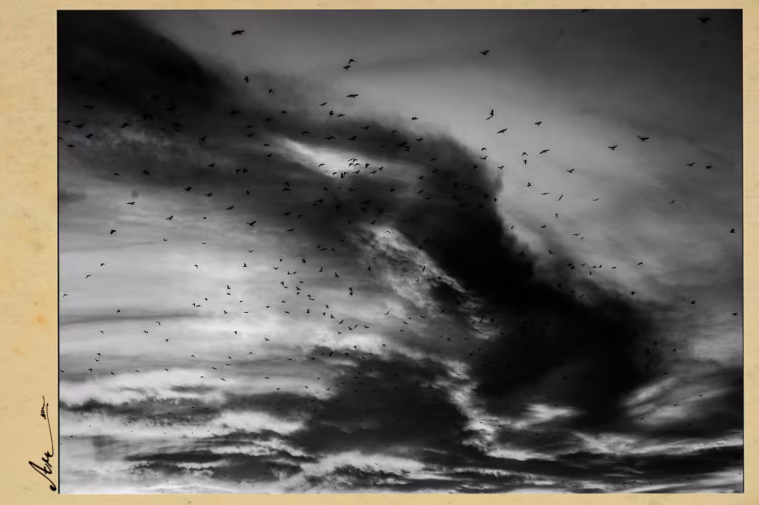 B&w world #6