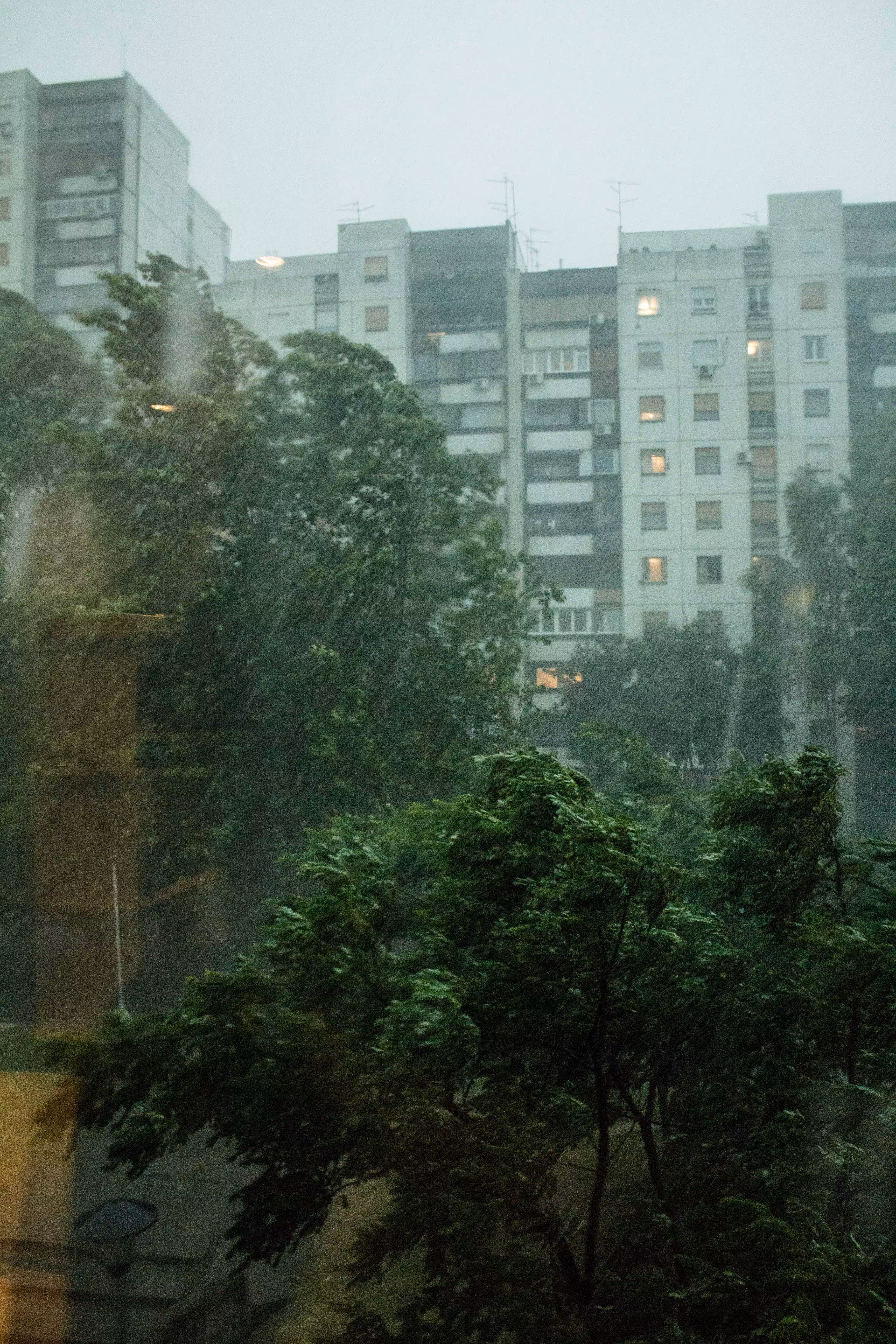 nbgd summer storm 2014