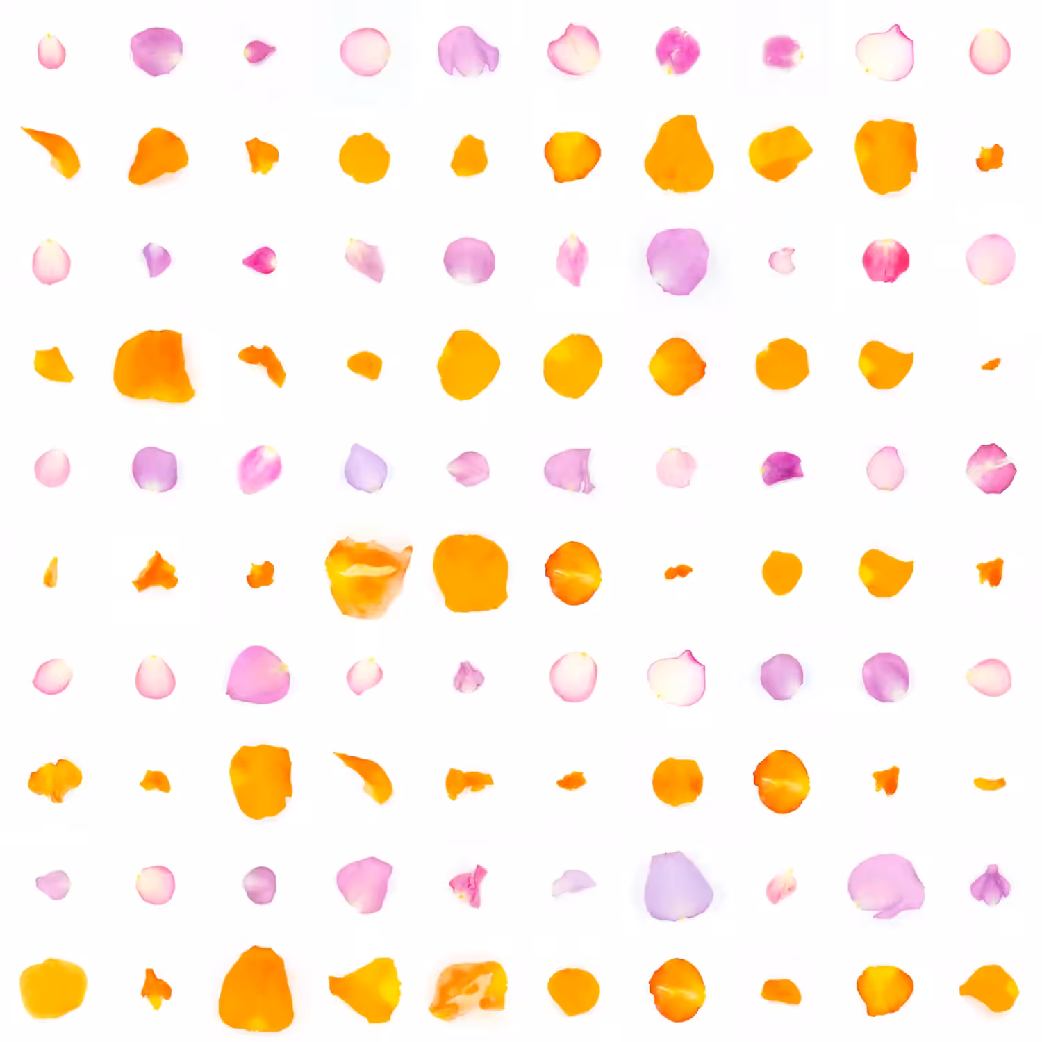 Infinite Petals 10x10#523807