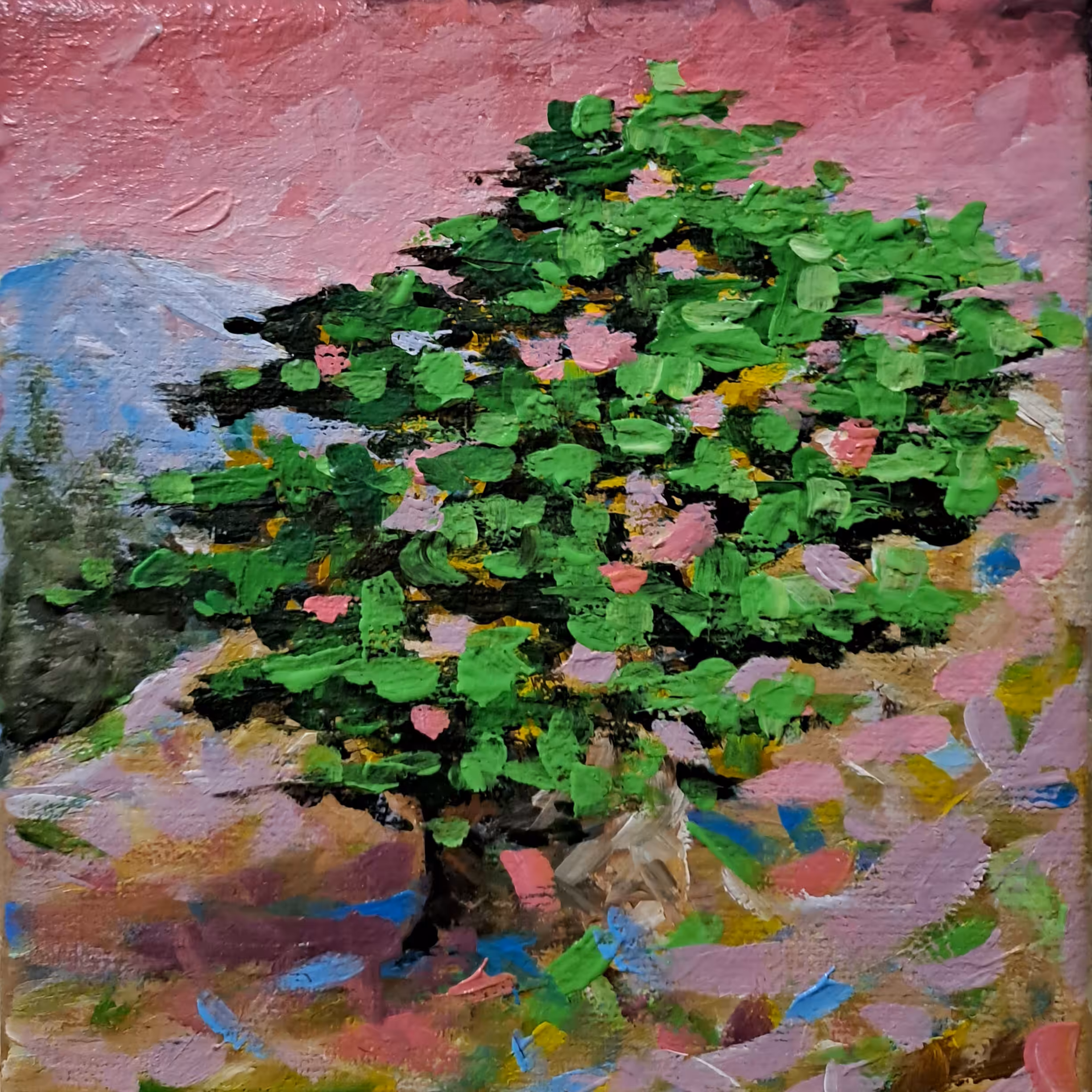 Life Of A Cedar  #3