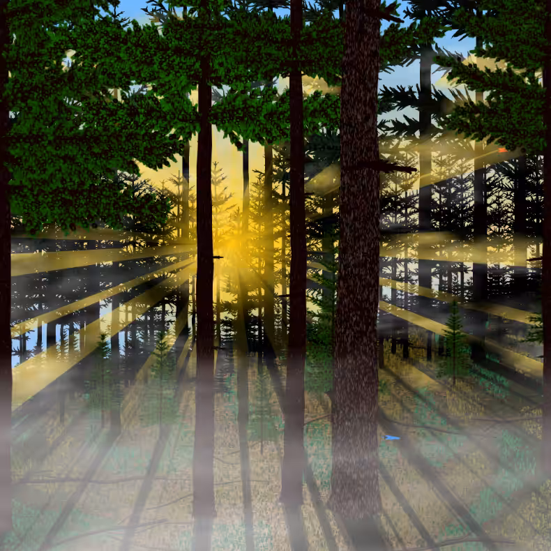Forest Sunrise #46