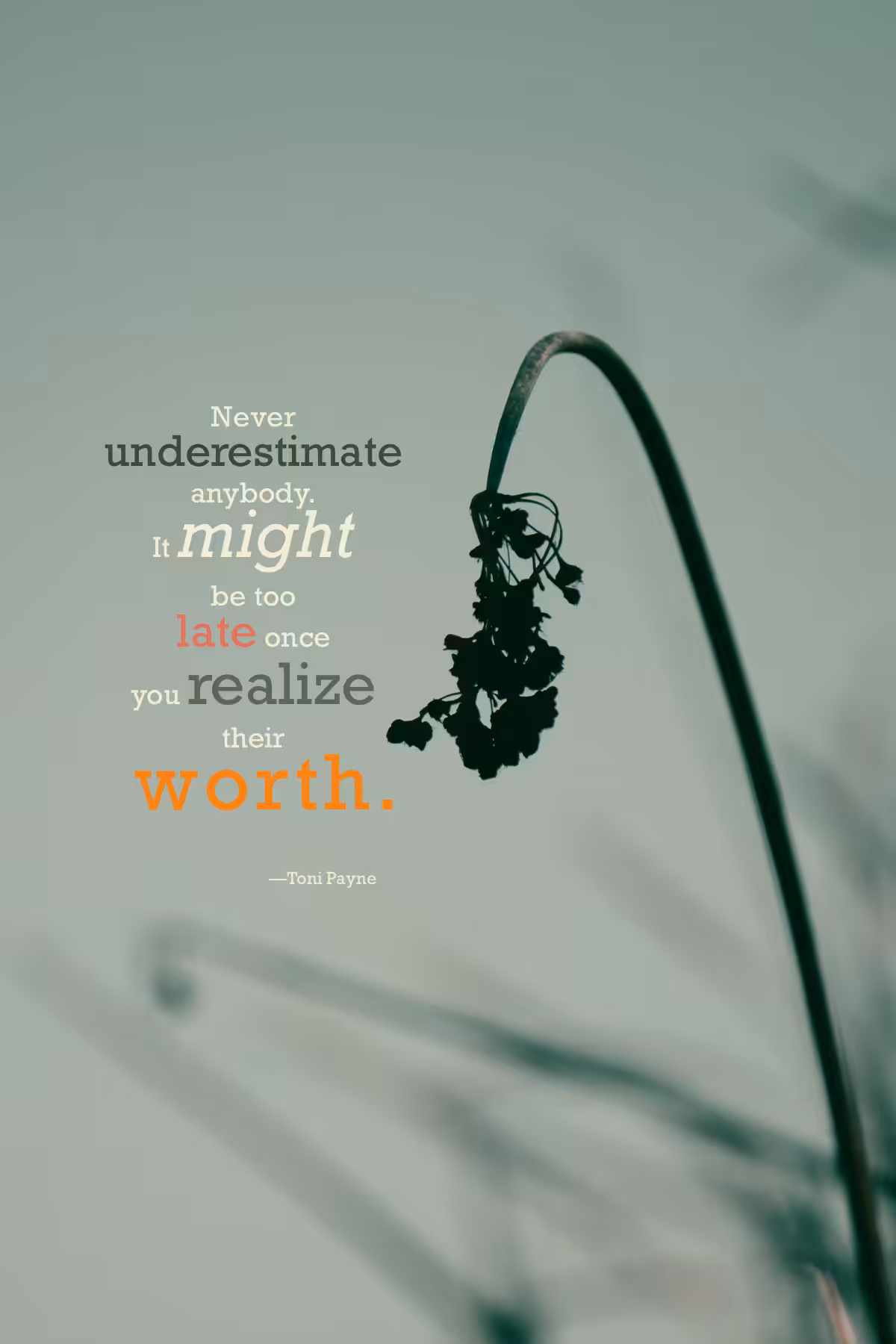 Power in Words 5