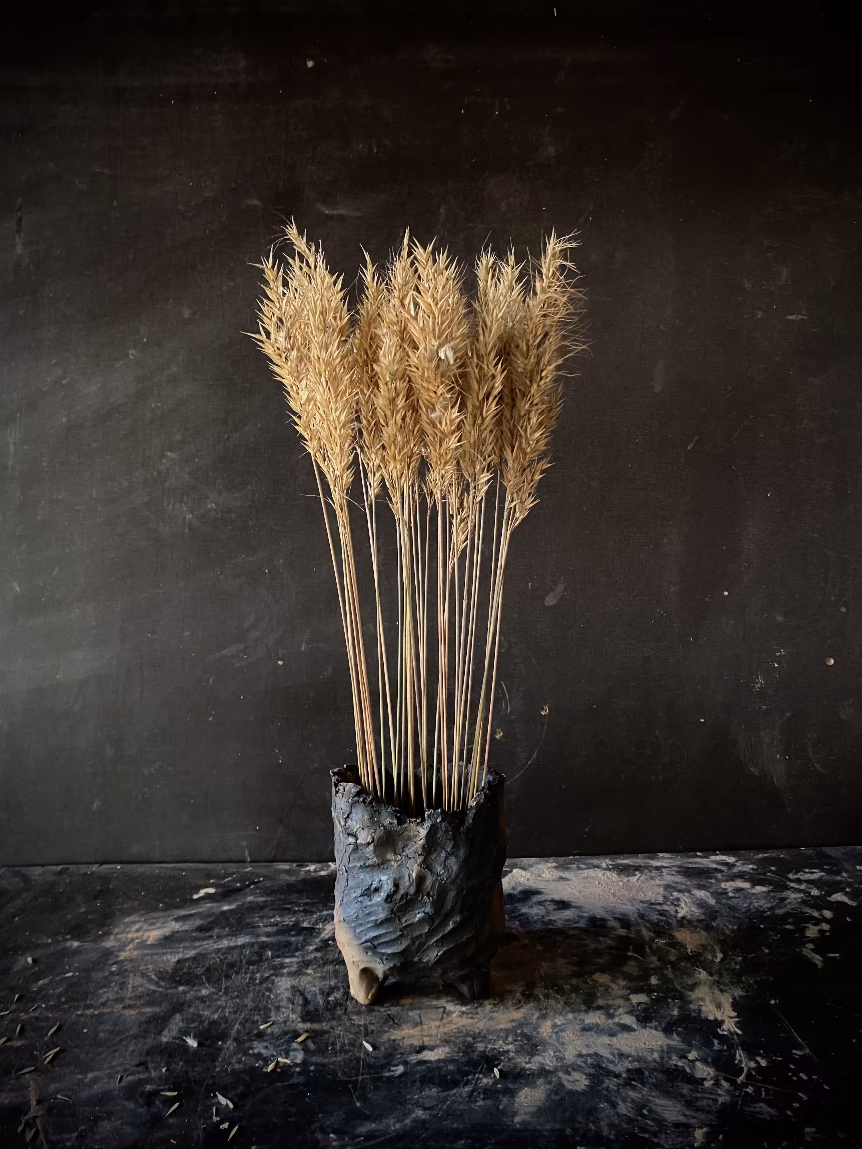 Grasses of Fire