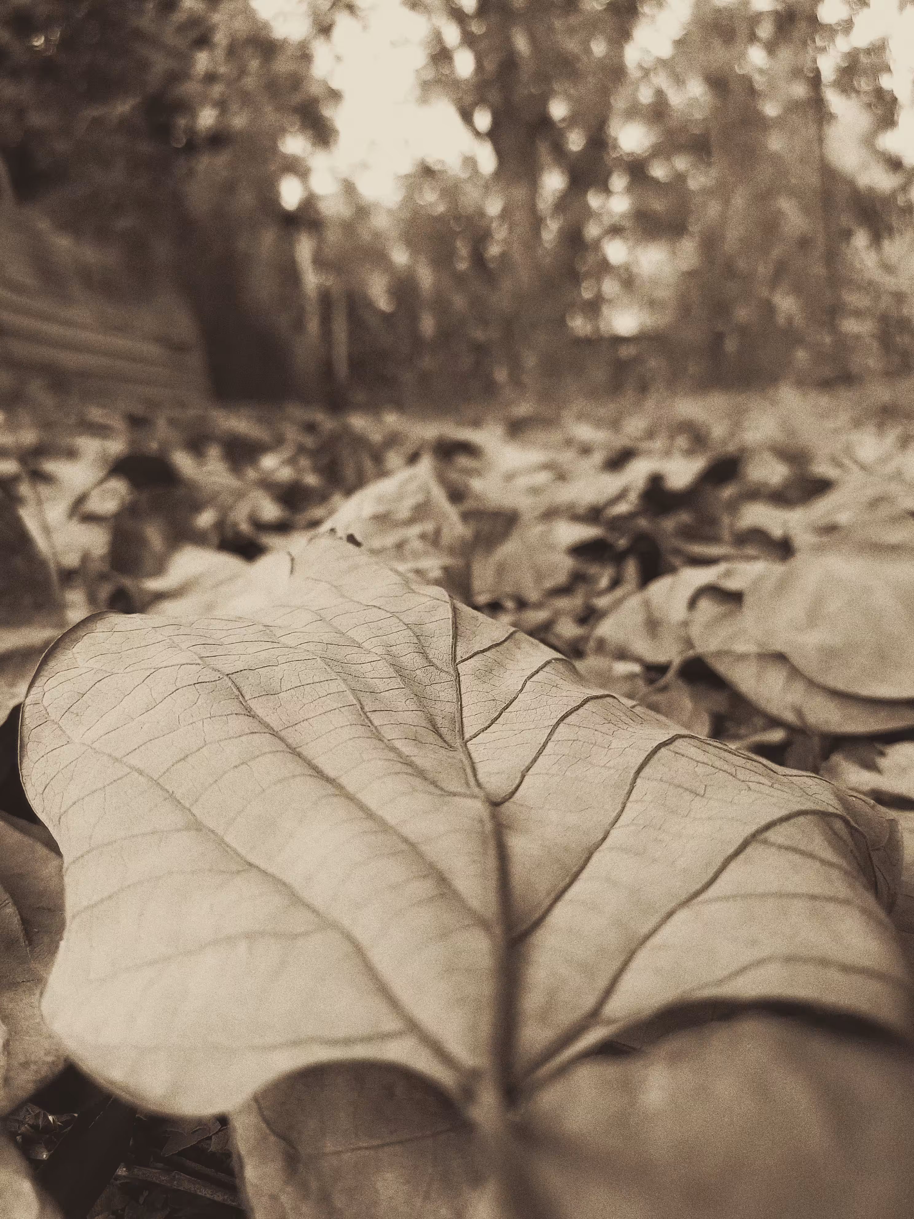 Beginning.