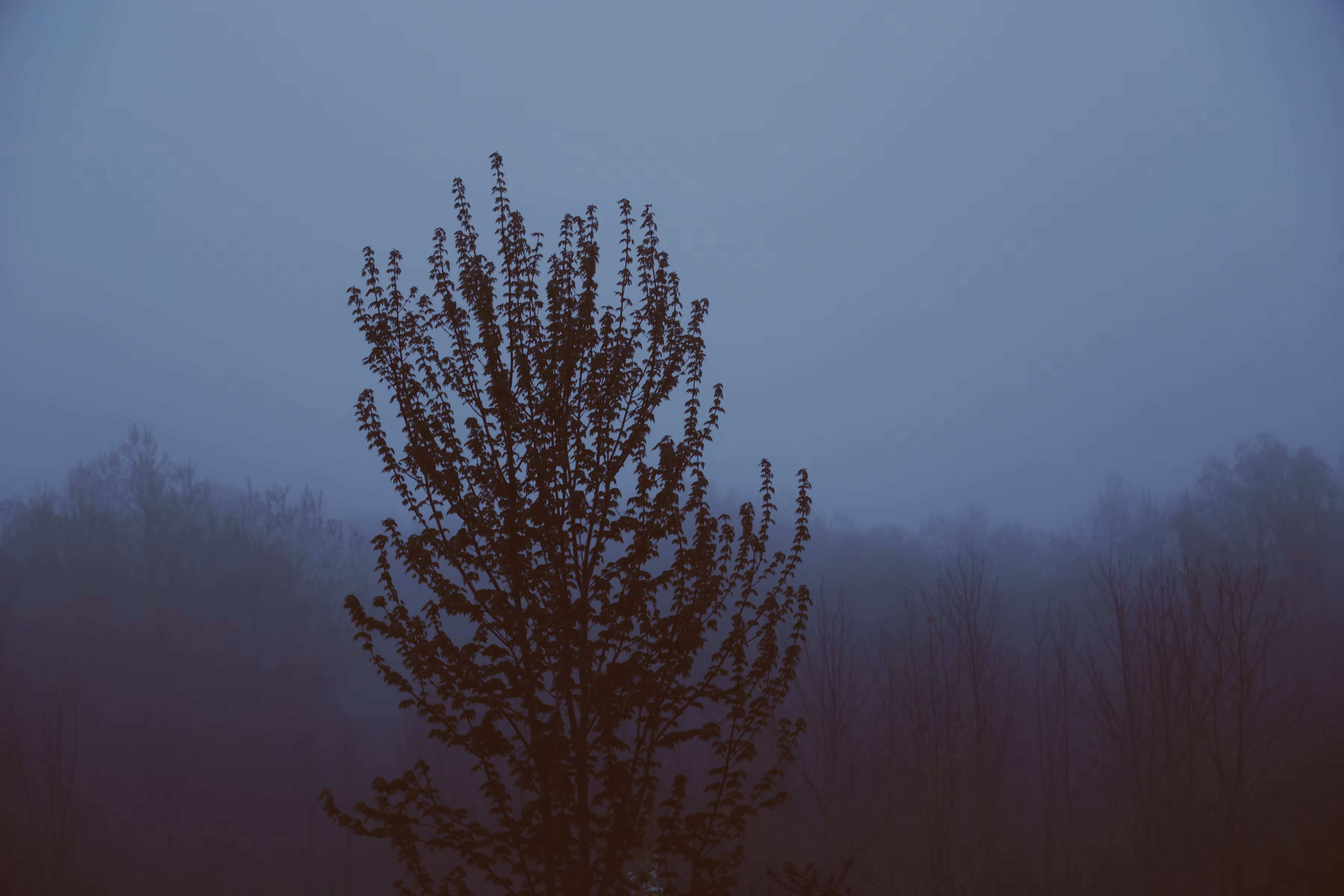_silence we invited