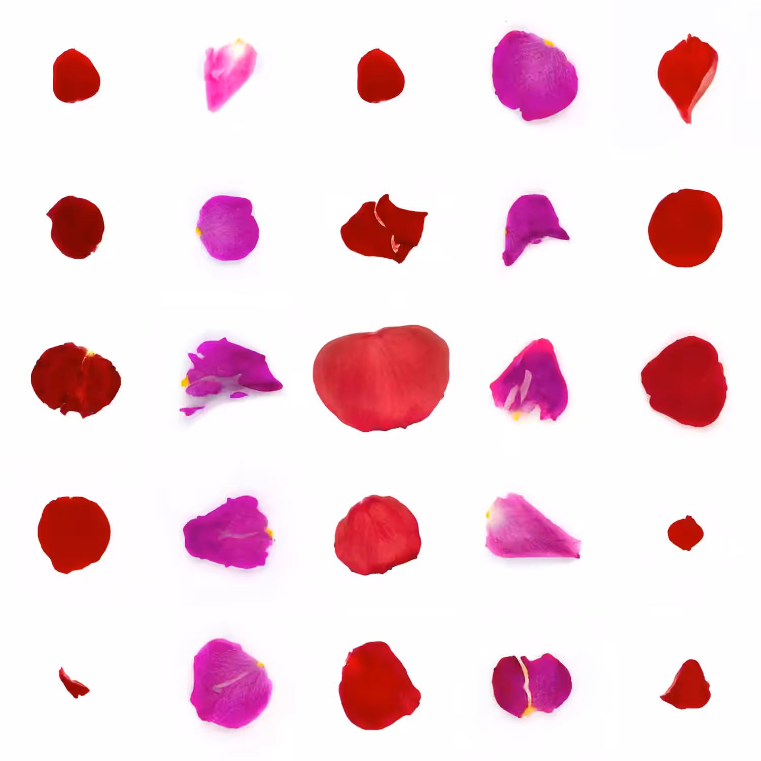 Infinite Petals 5x5#20537