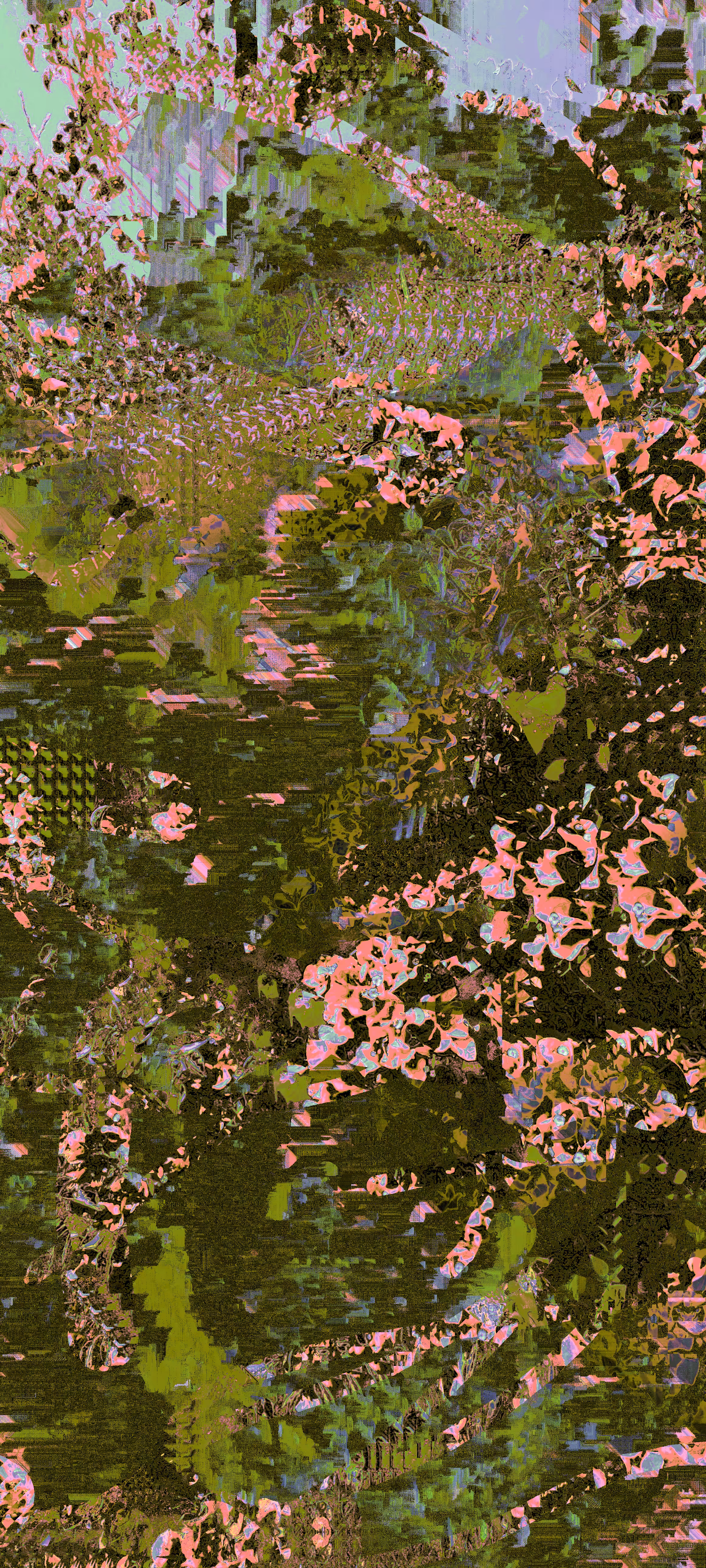 Flowers in my attic - Fractal Forest 