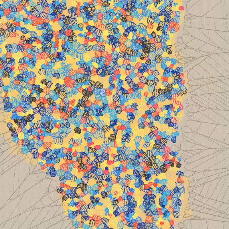 Fractured Cells #94
