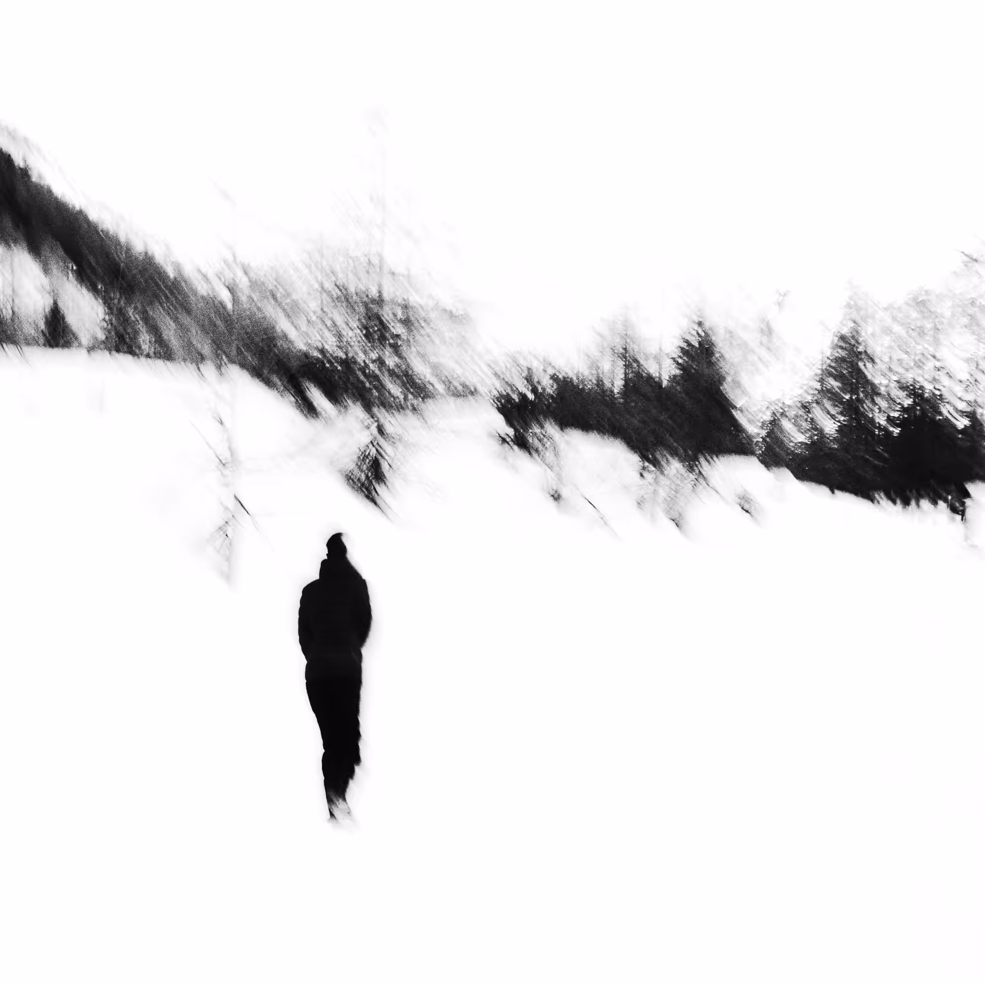 A walk in the snow