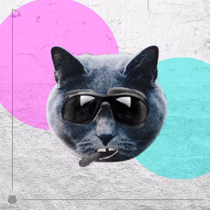 Kittenstein #27
