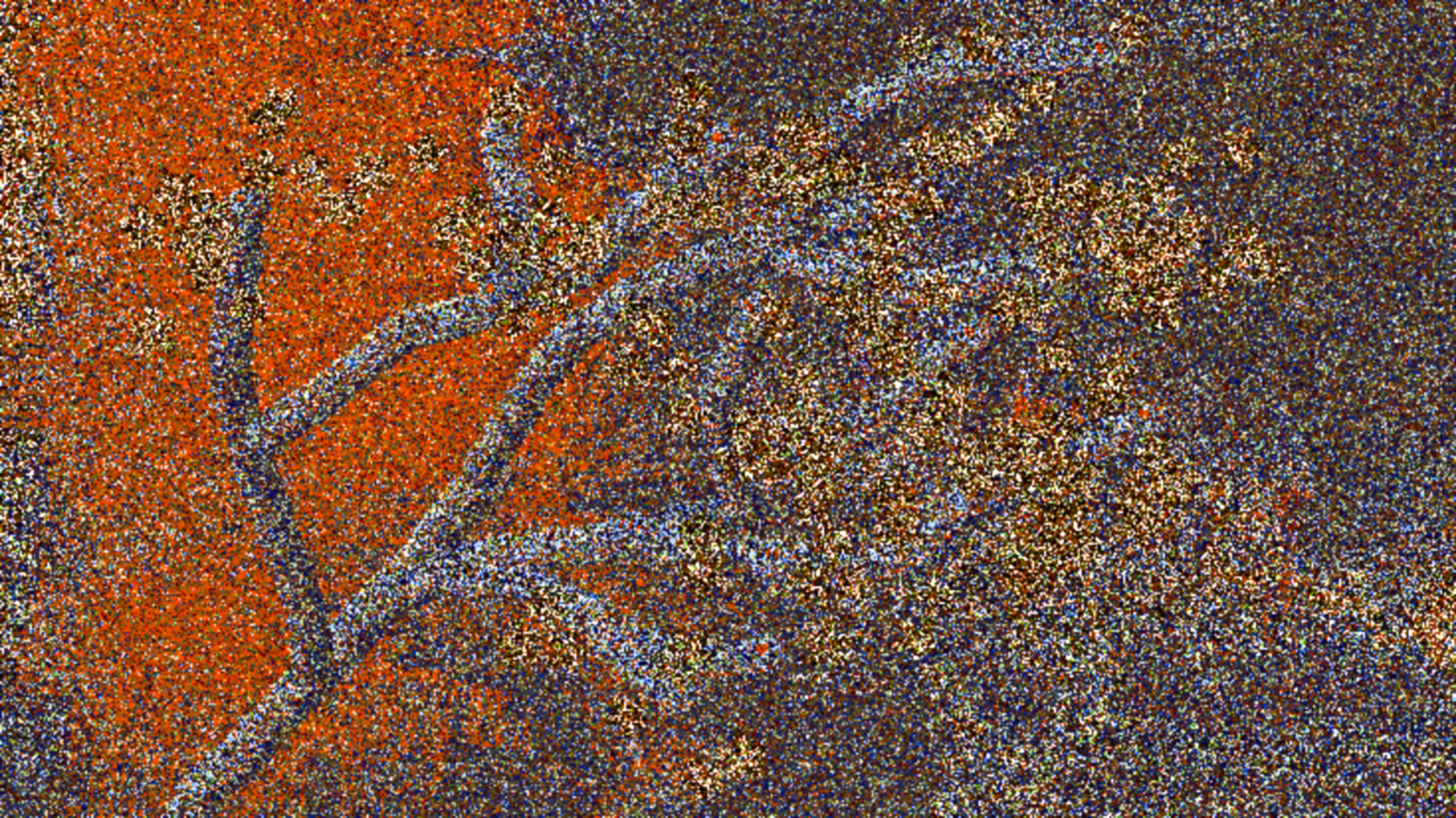 Bloom Static