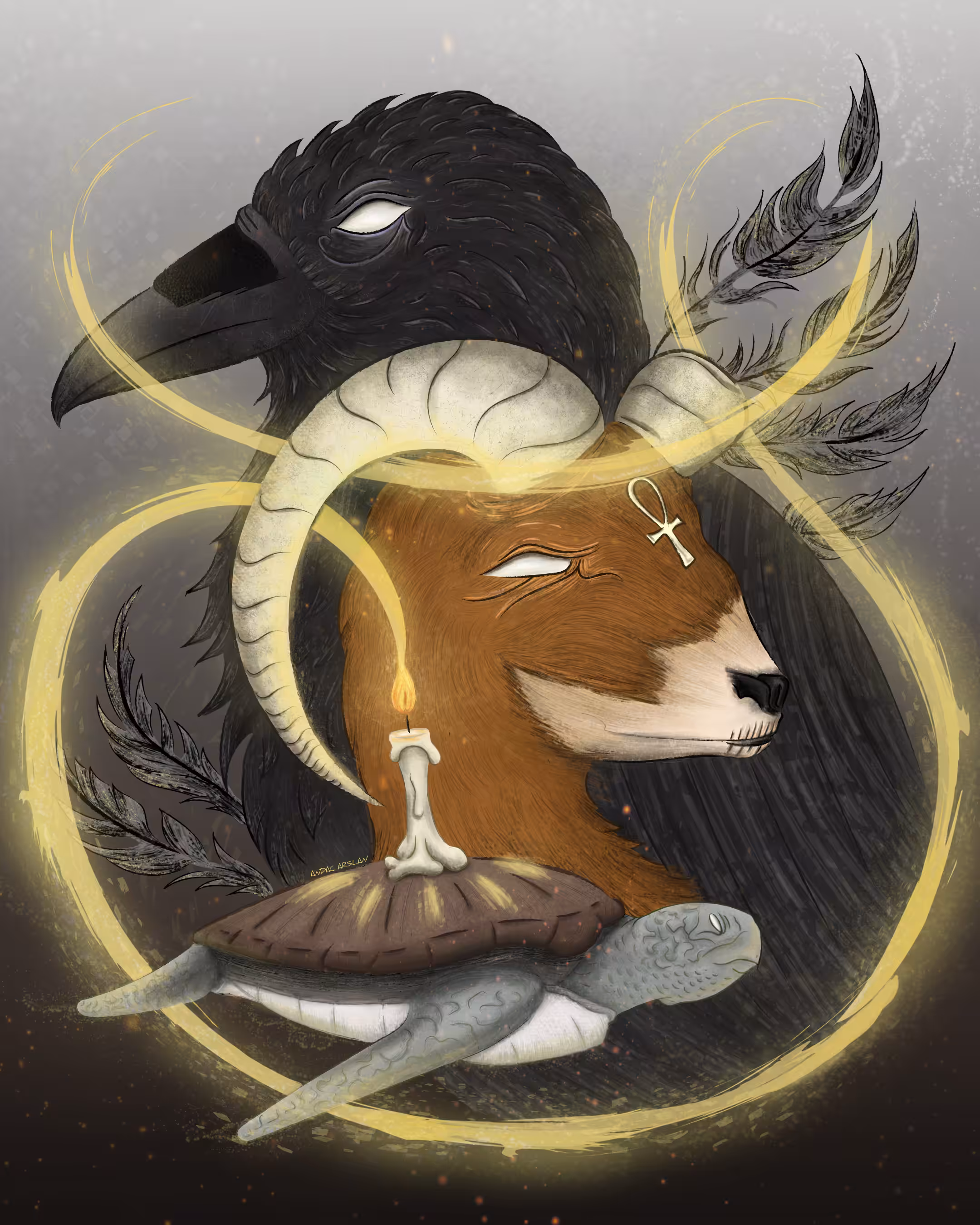 Illuminate