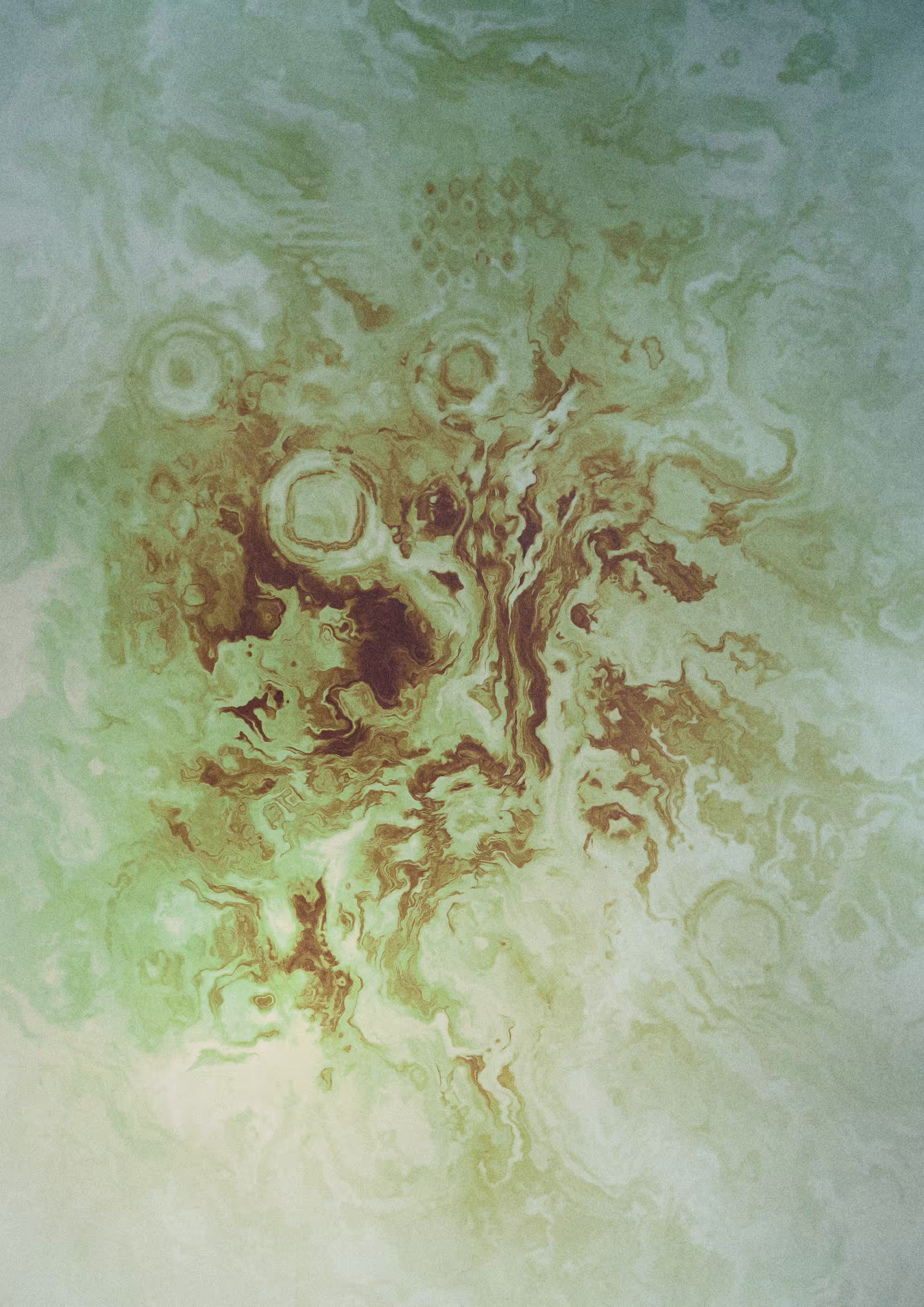 Fossilium #46
