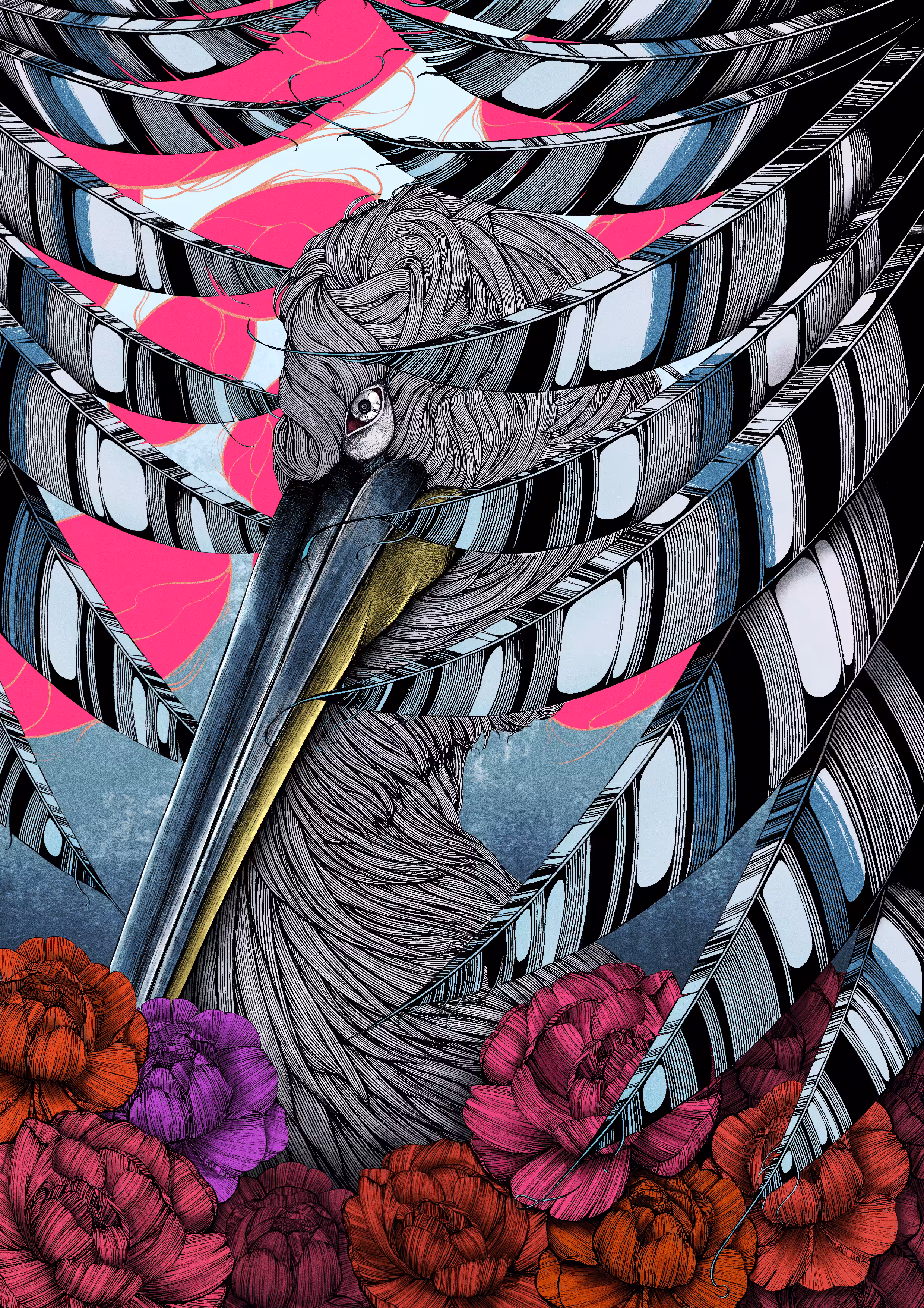 Pelican