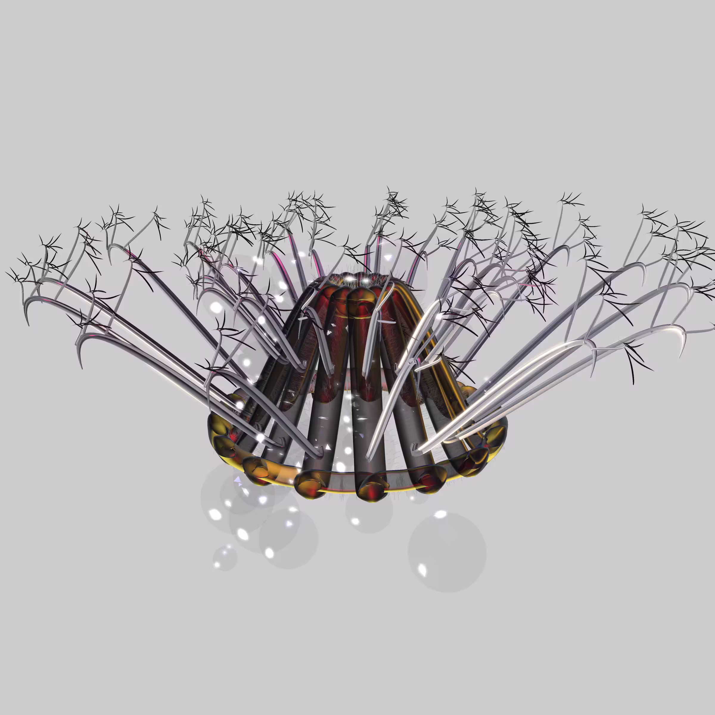 Lycorises #64