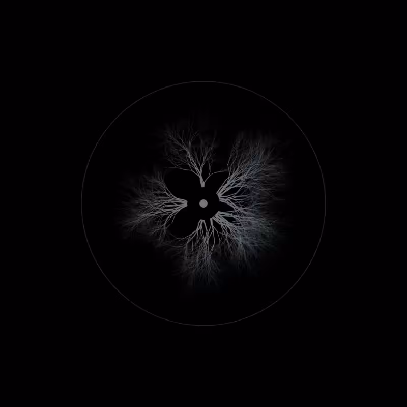 EYE #8