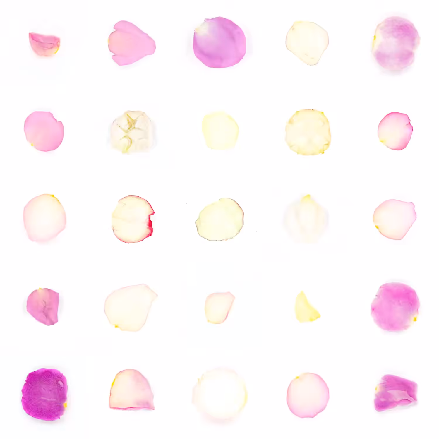 Infinite Petals 5x5#20554