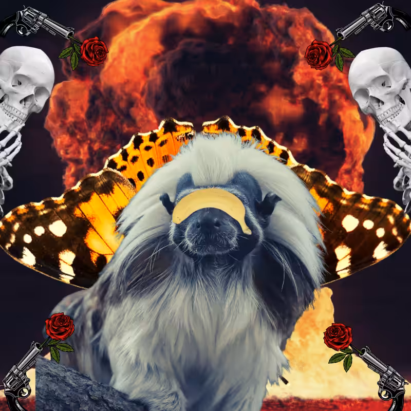 Blinded apes #43