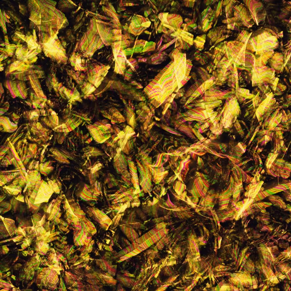 generativeart 03