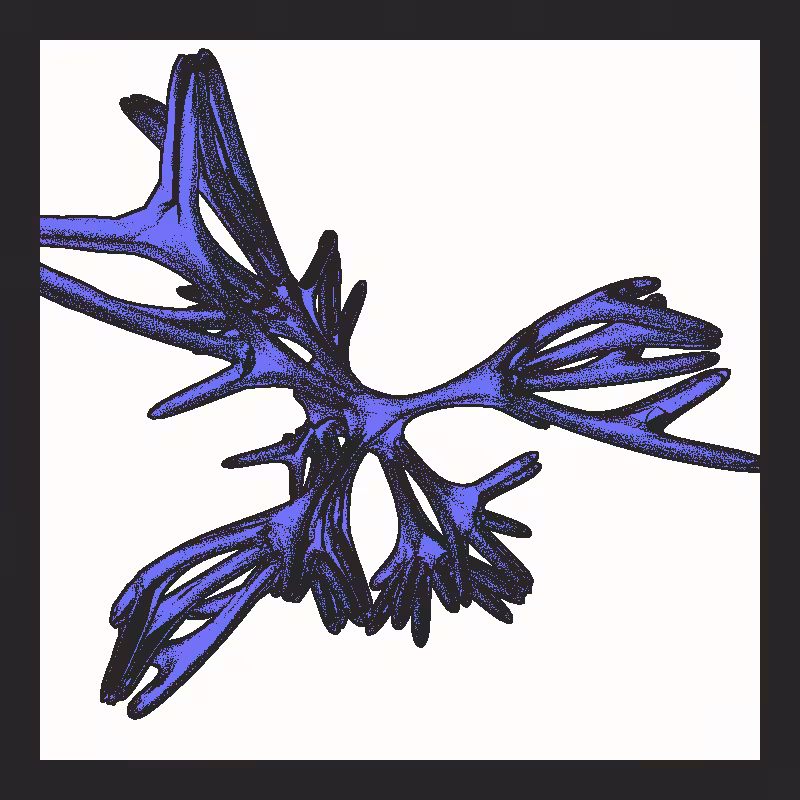Bones that support nothing #10
