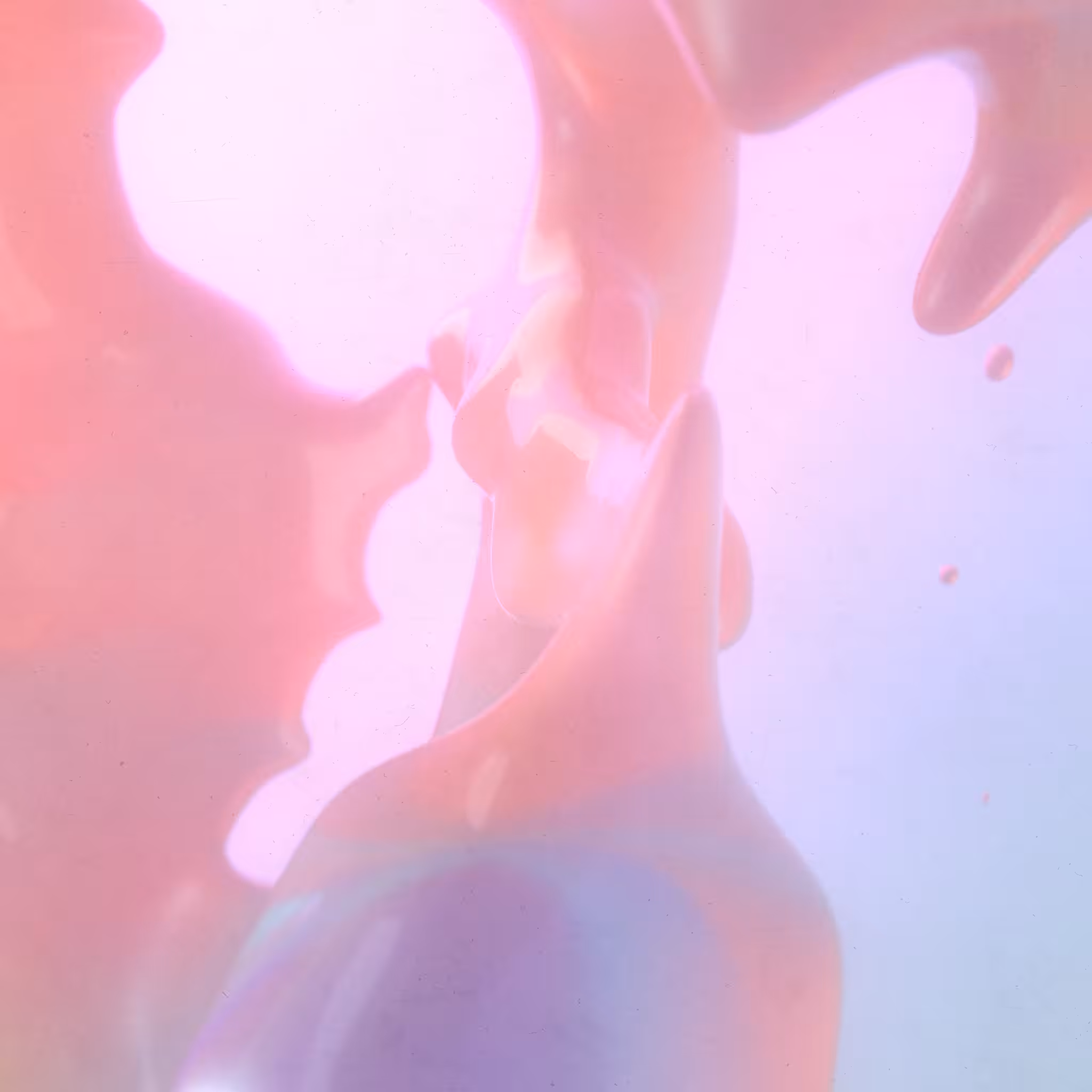 A day in the Candy Cave