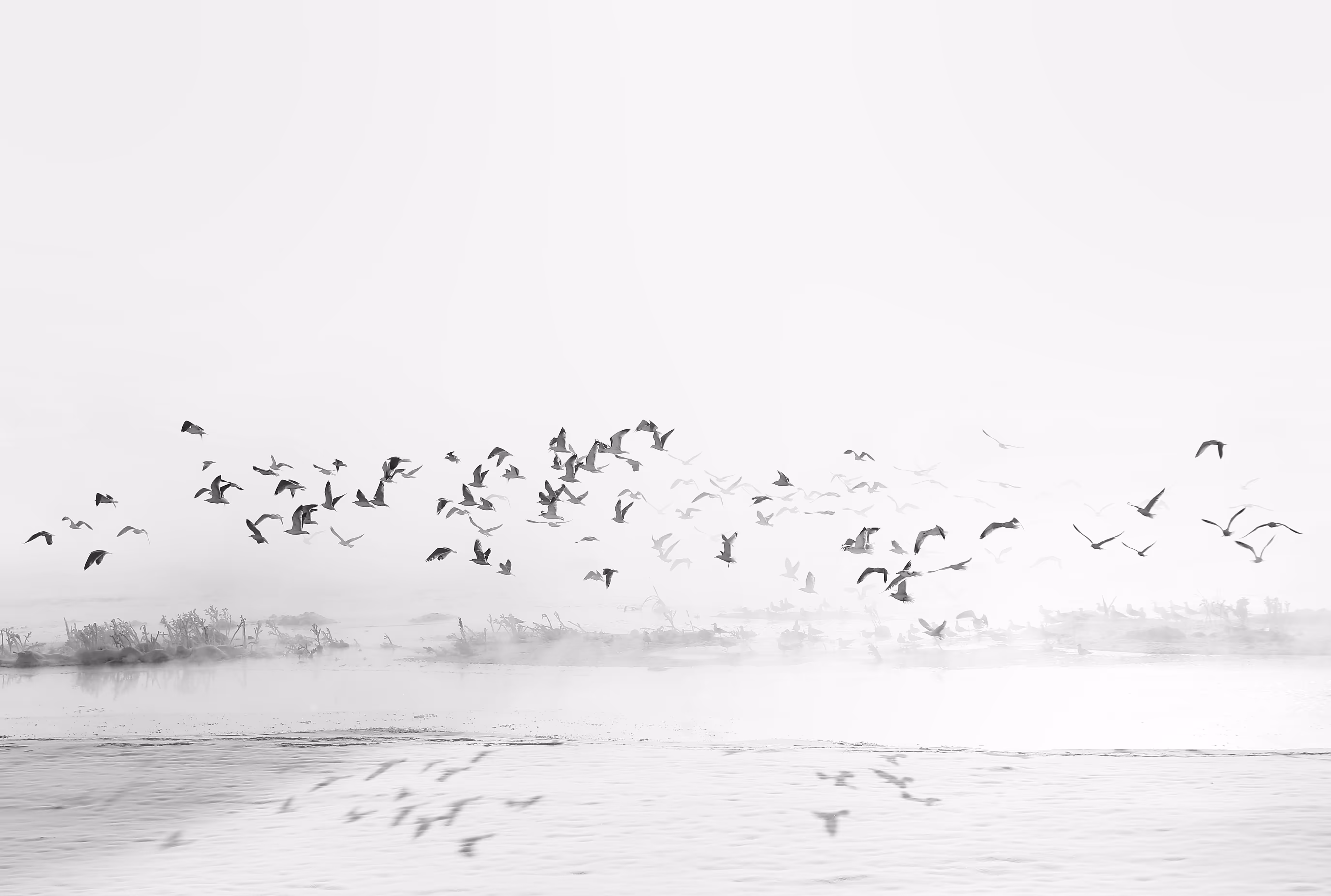 Flying in the fog