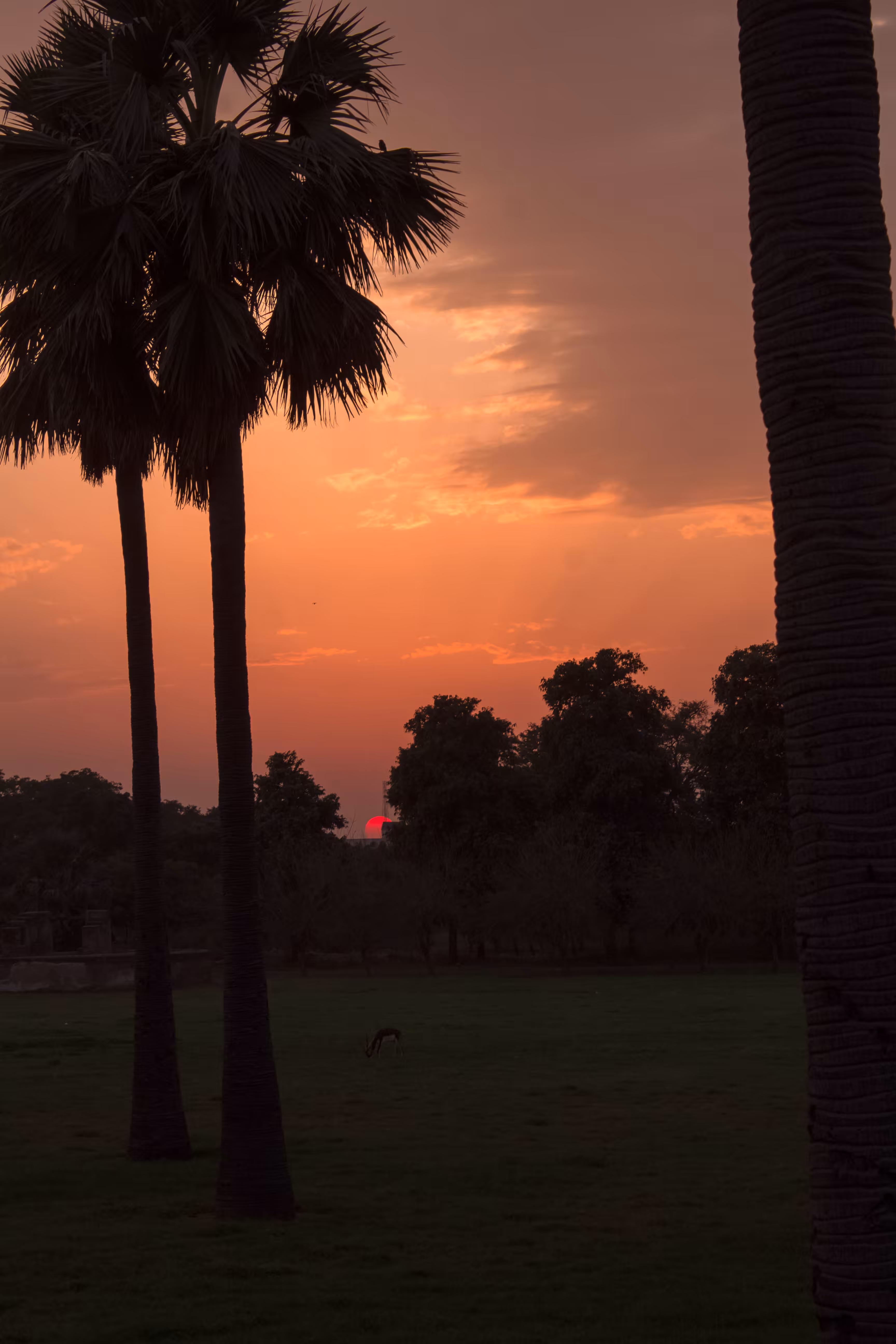 sundown