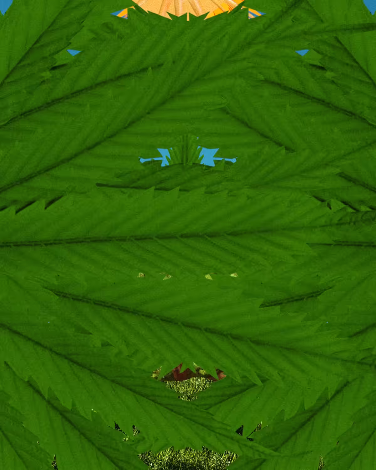 Herb Meditation I