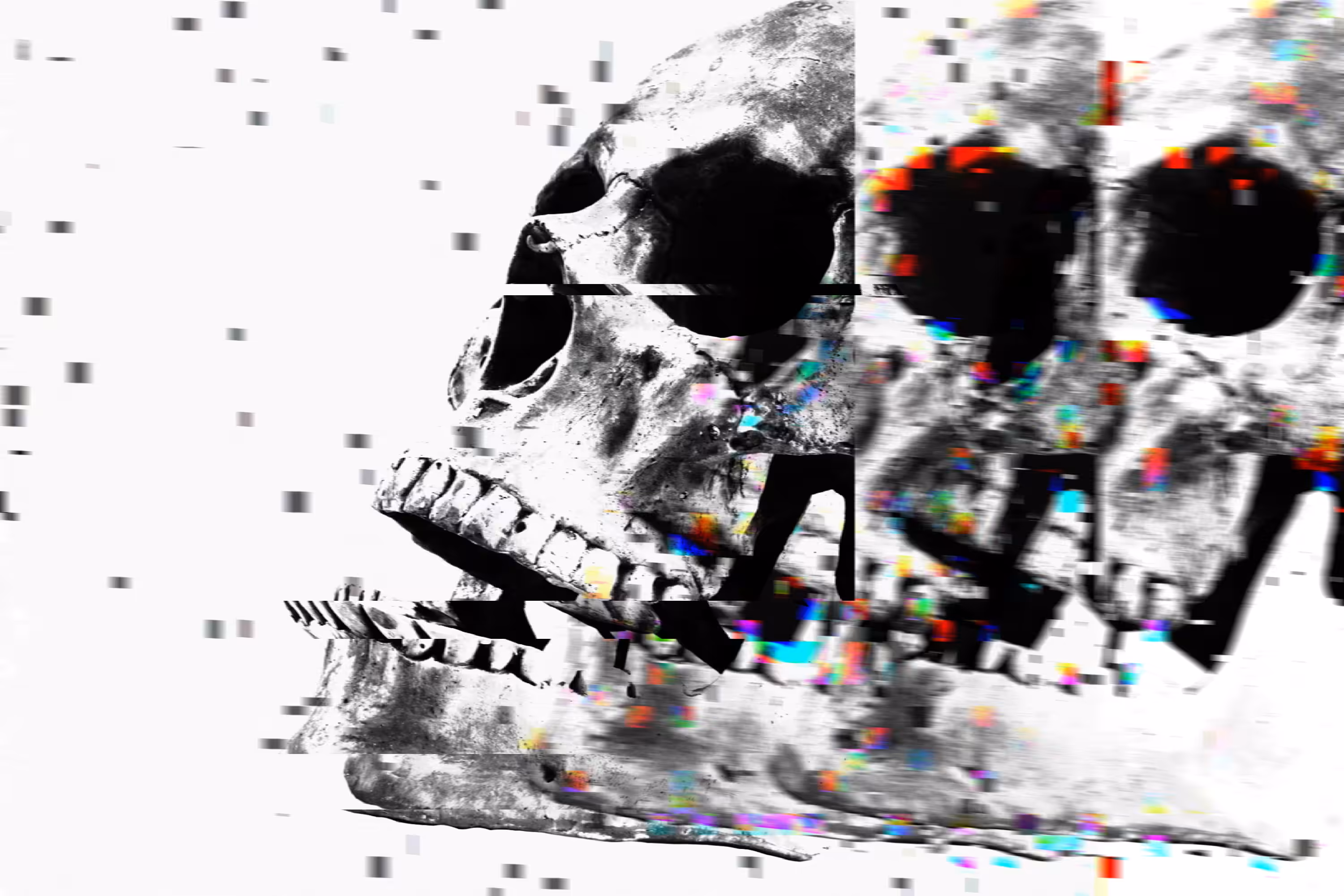 MEMENTO MORI, STILL FRAME