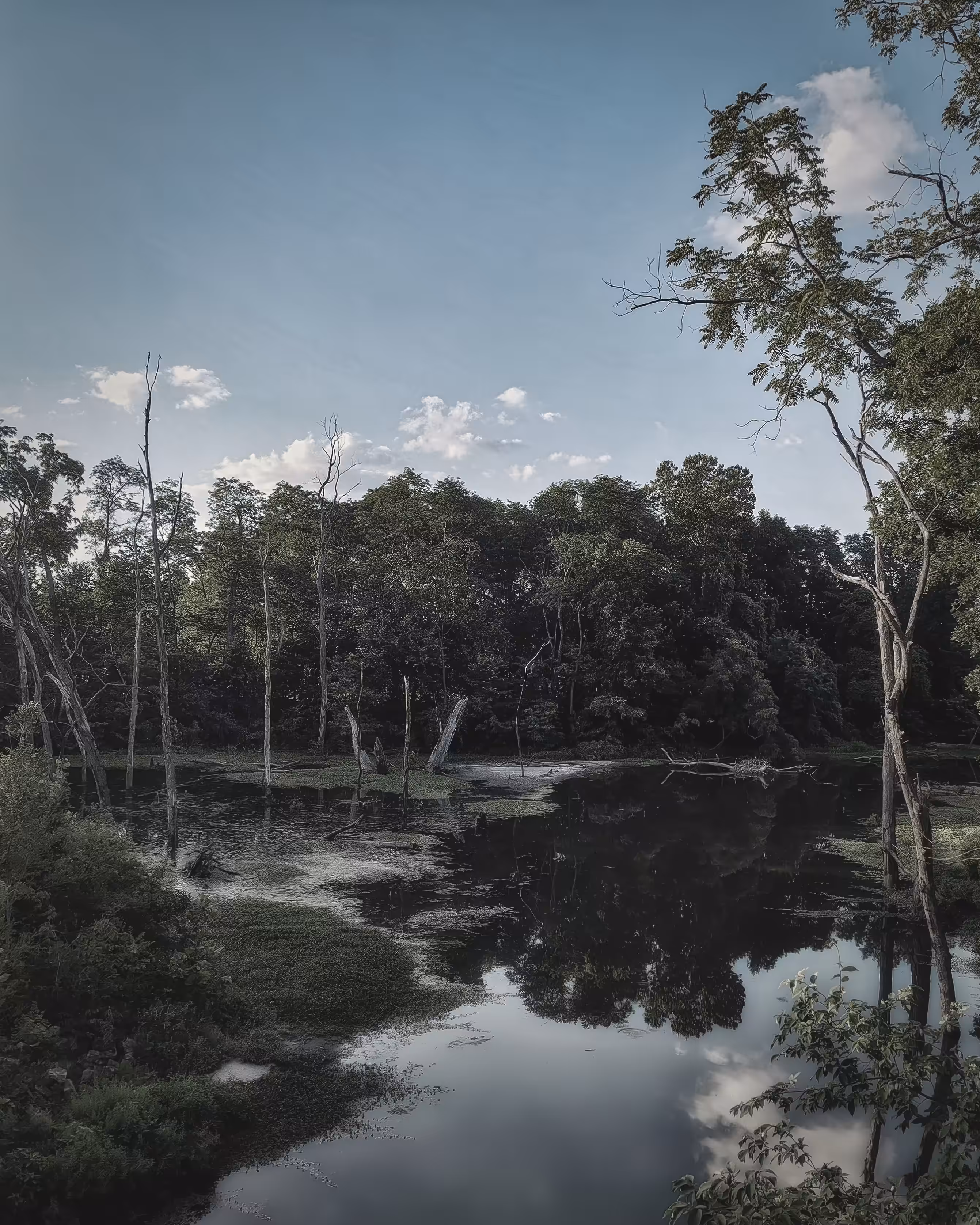 Burr Oak Creek