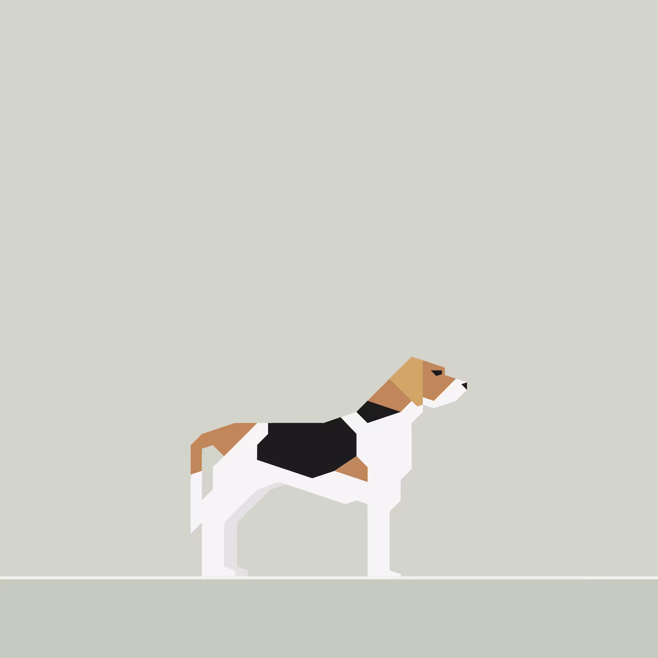 Beagle