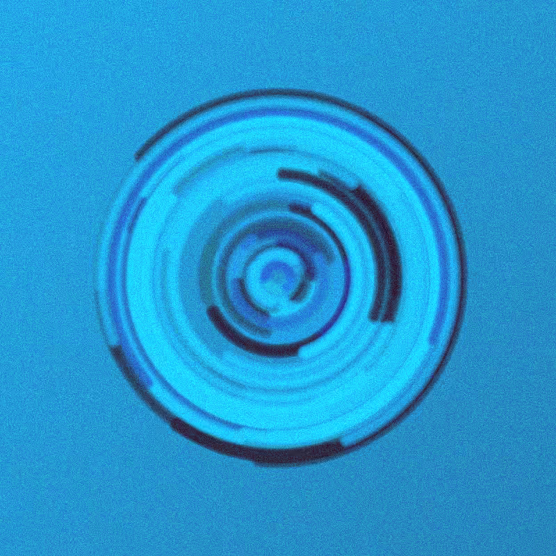 Wisp #910