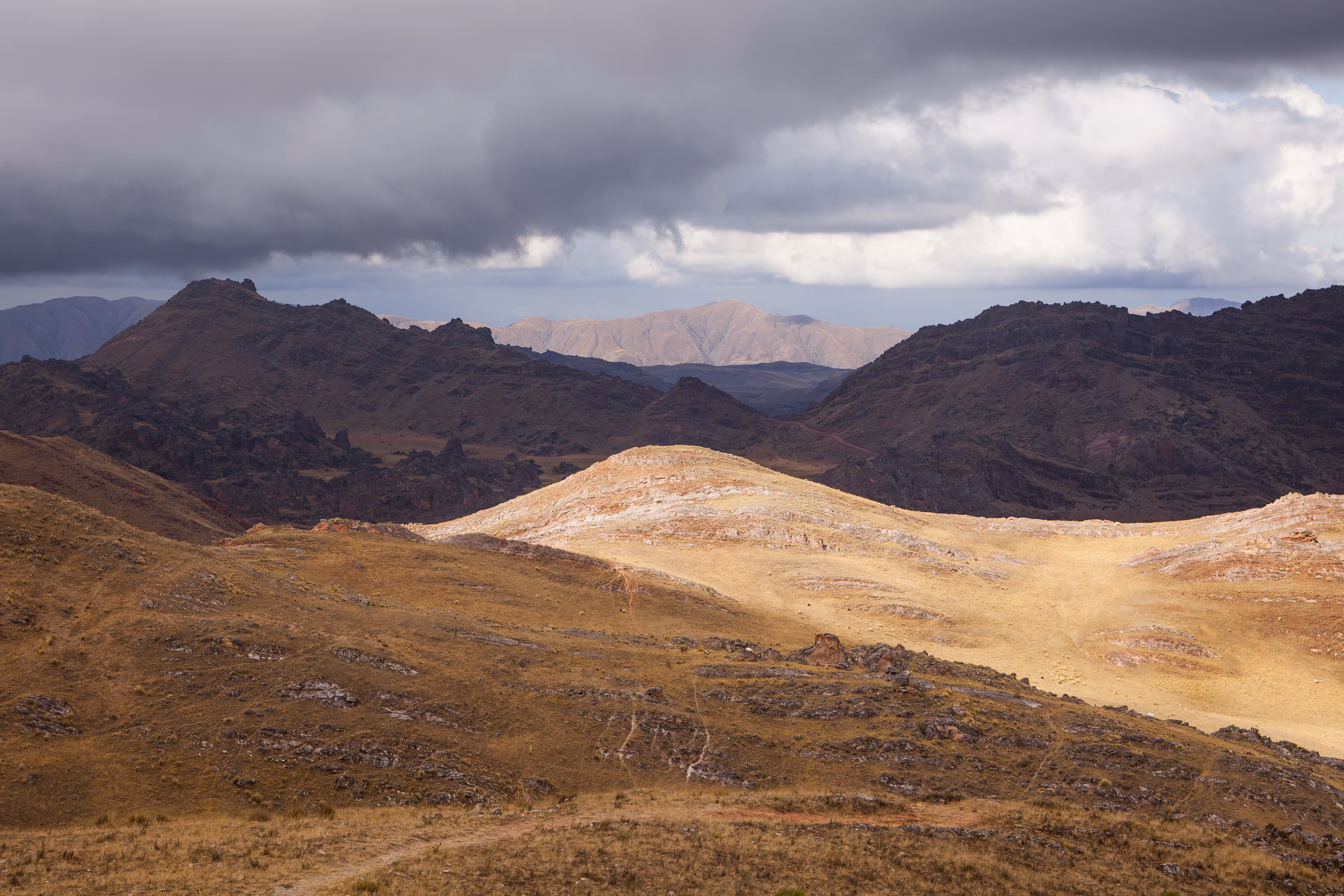 Relief _ NOA Landscape _ 1/1