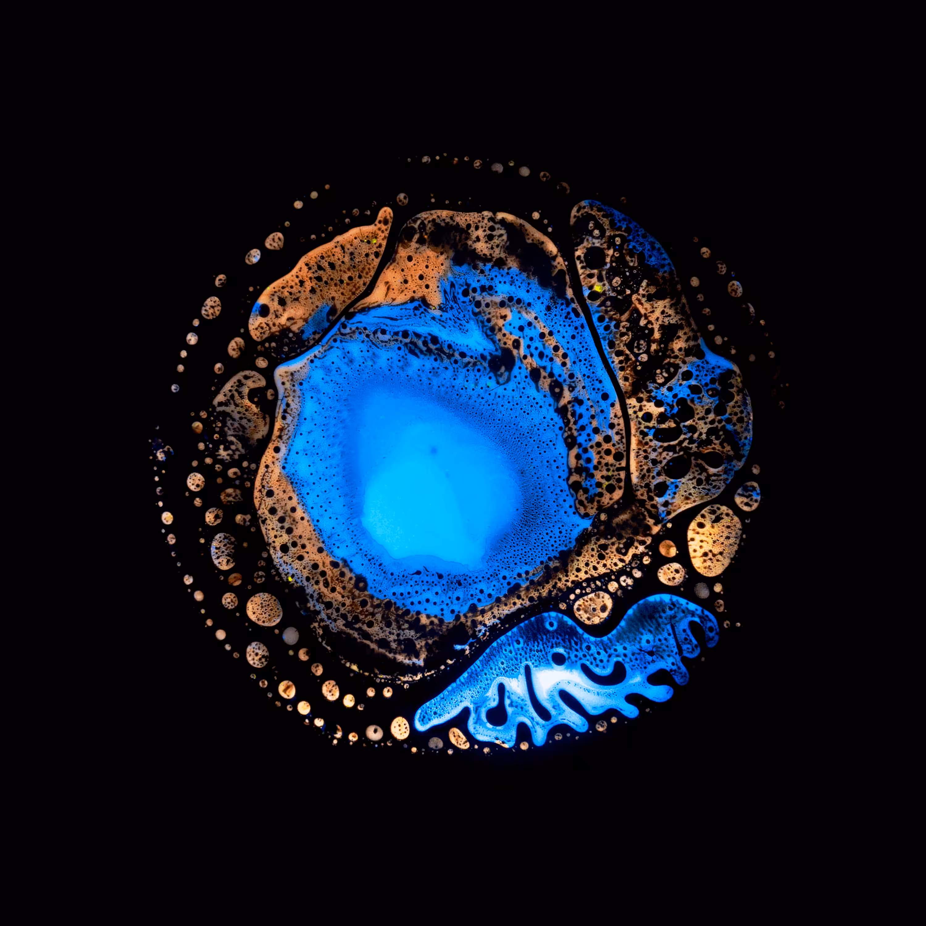 Haematopoiesis #188