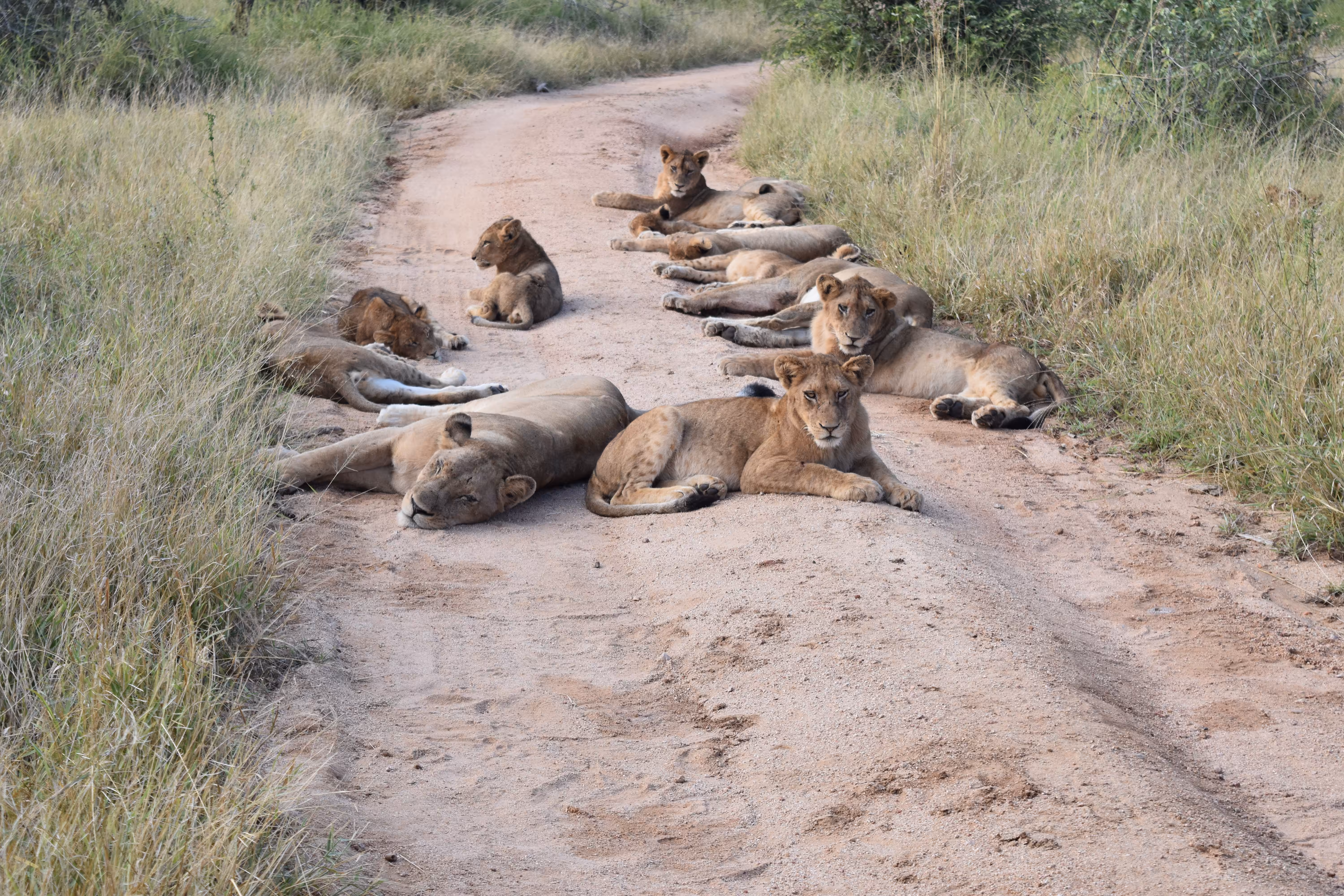 Don't mind us, we're just going to sleep here